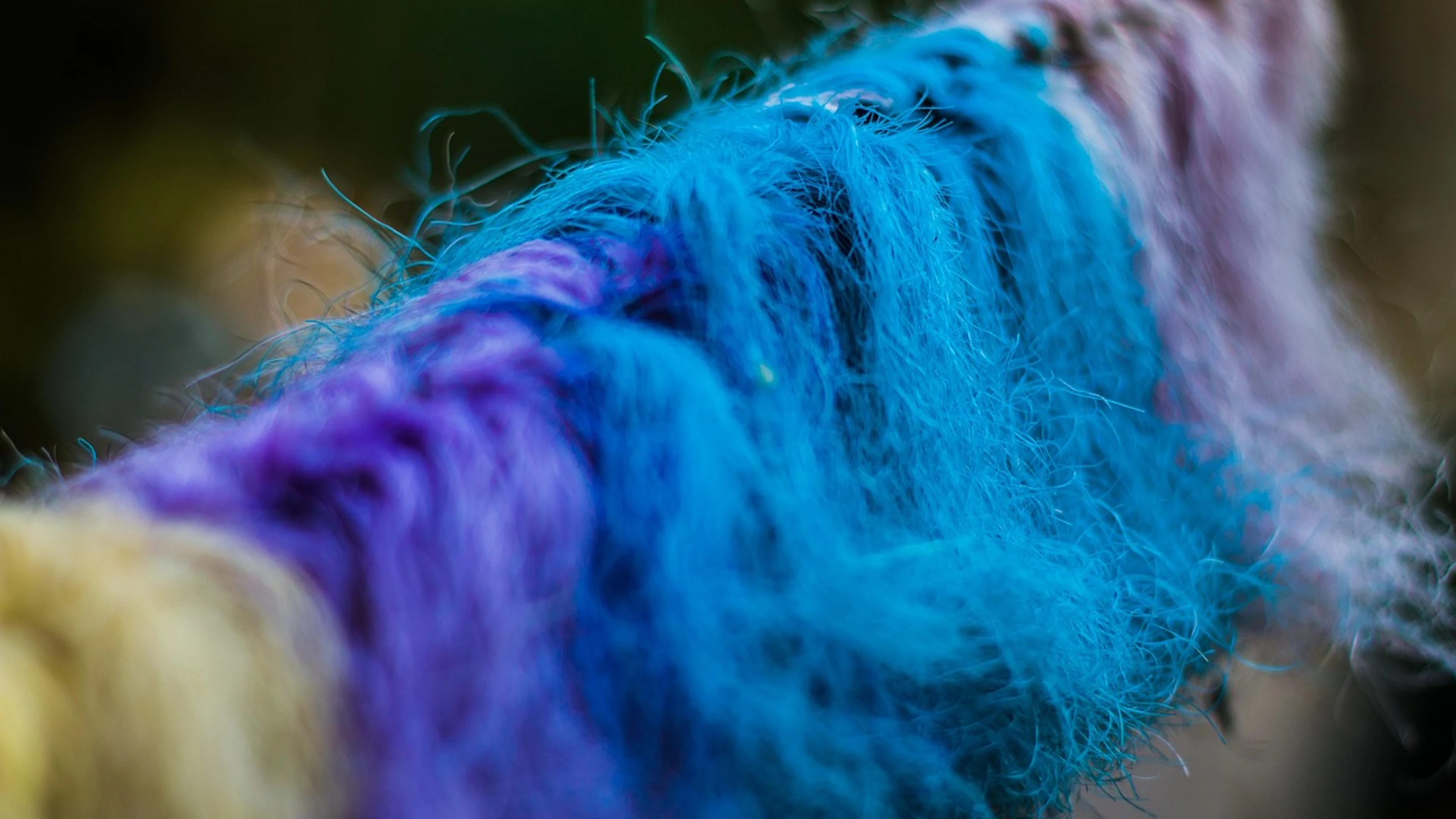 Abstract colors colorful abstract - free 4K Ultra HD abstract wallpaper for desktop