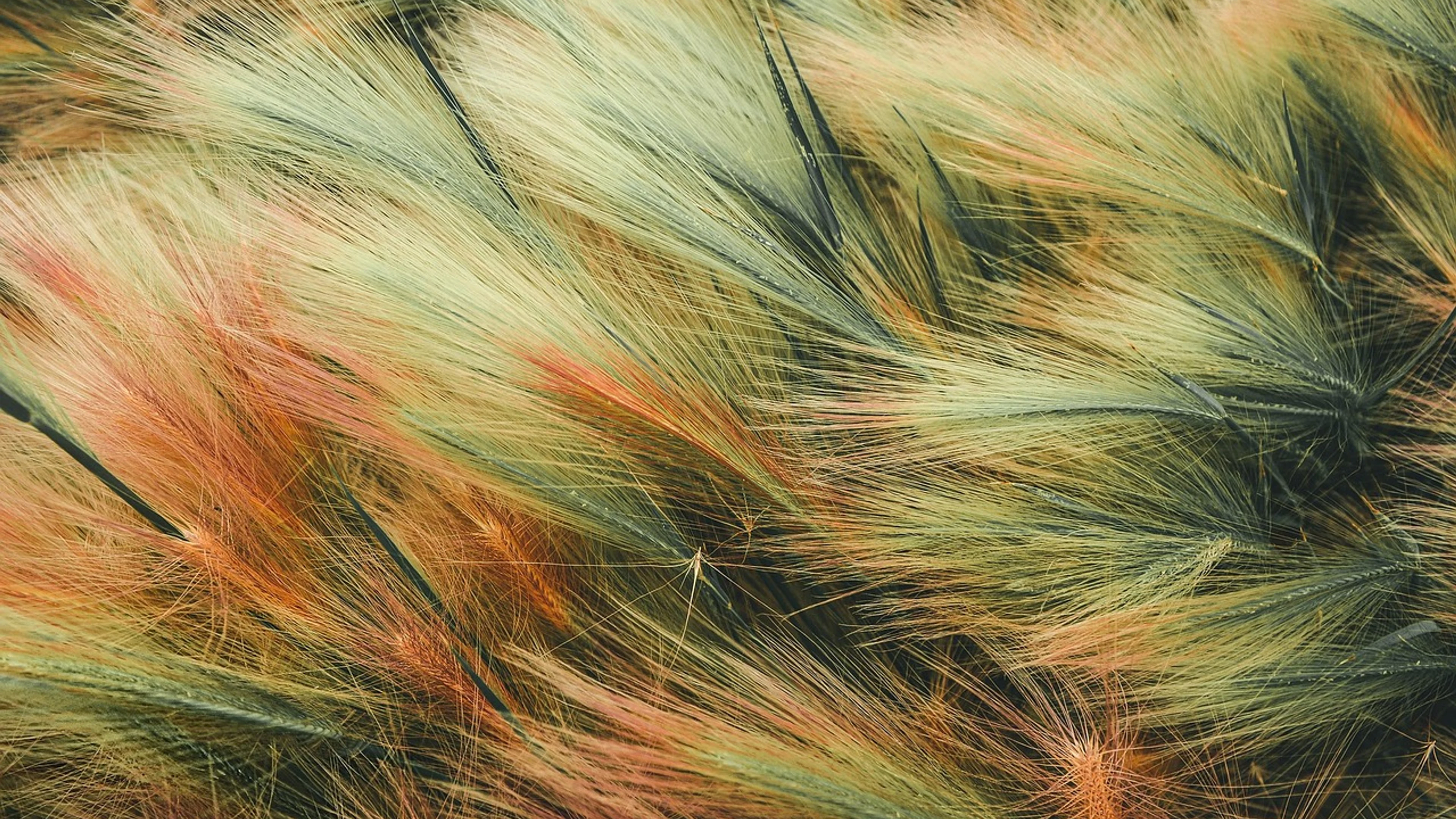 Background abstract full hd wallpaper - free 4K Ultra HD abstract wallpaper for desktop