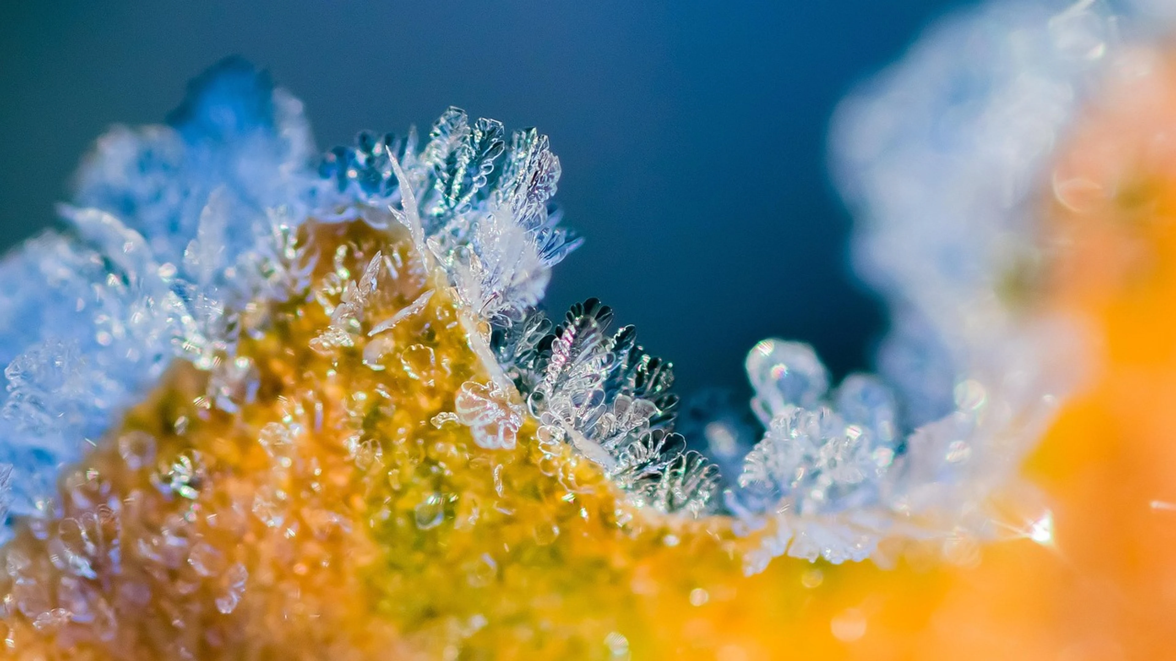 Frost snow crystals snowflakes - free 4K Ultra HD abstract wallpaper for desktop