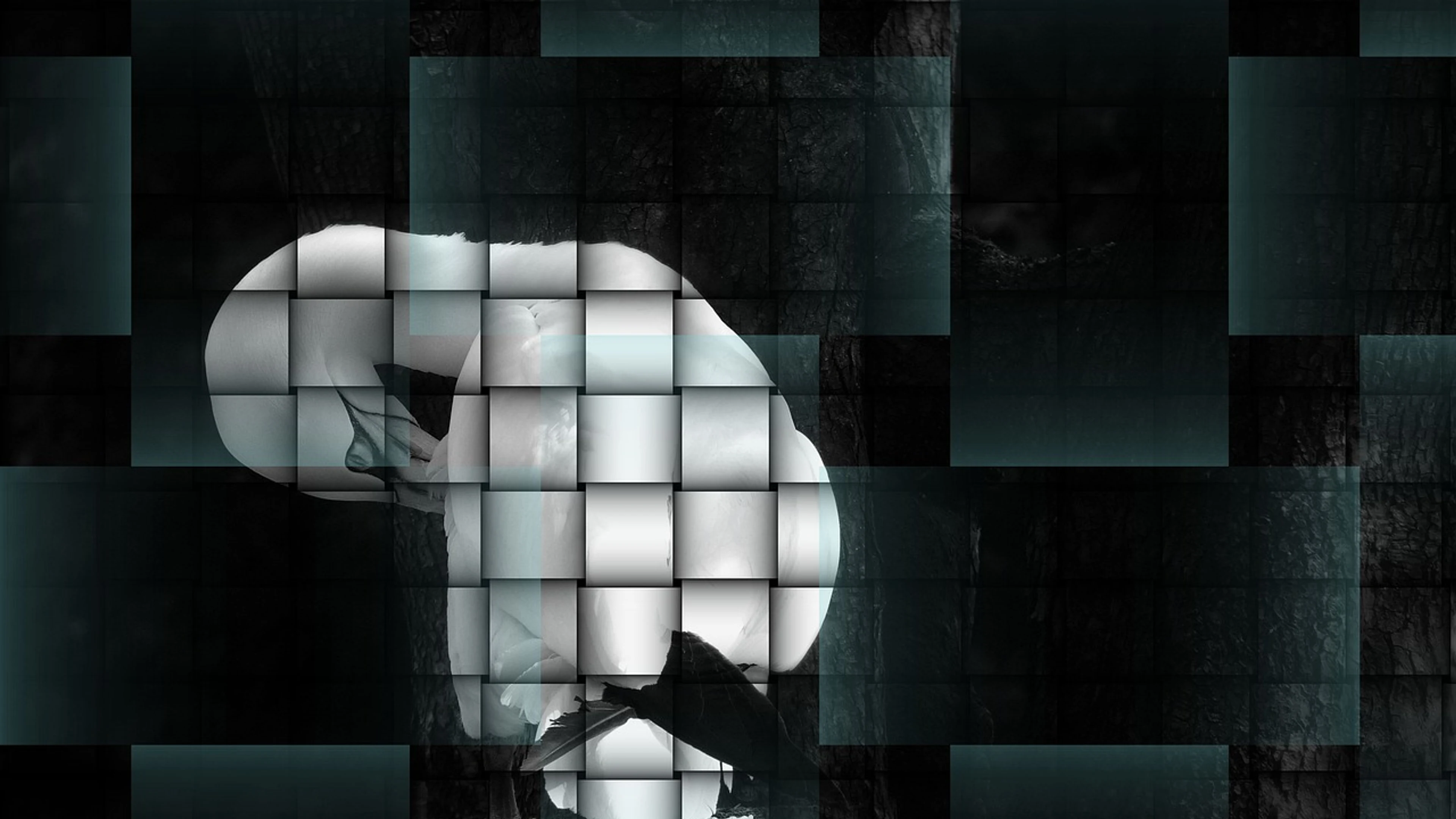 Graphic art abstract - free 4K Ultra HD abstract wallpaper for desktop