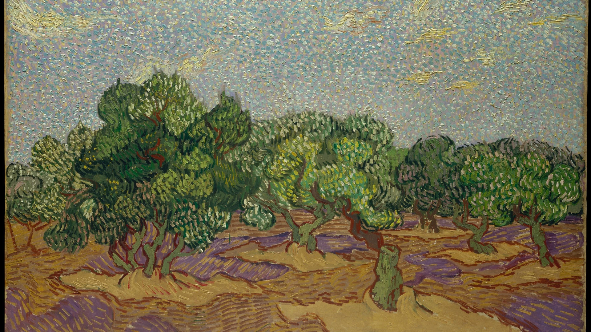 Olive Trees - free hd abstract wallpaper for desktop