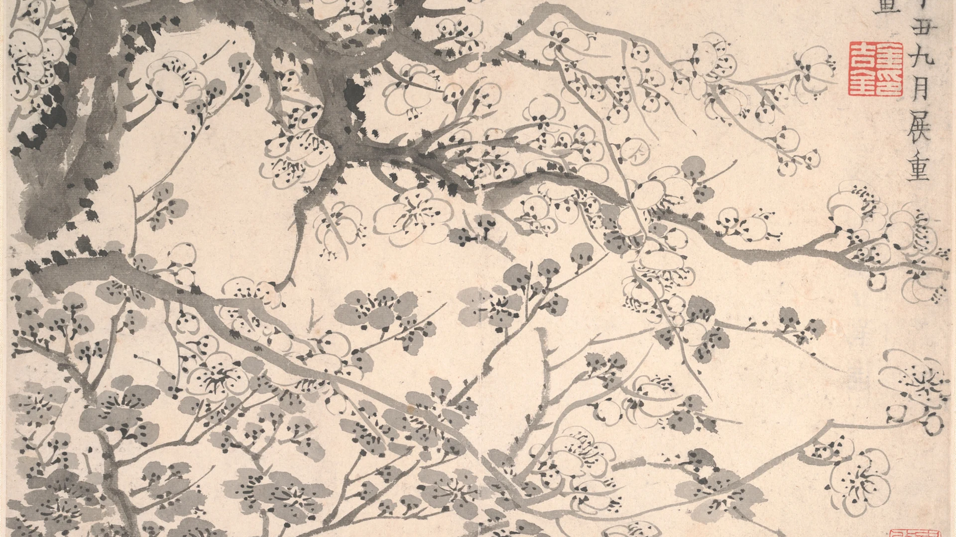 Plum blossoms - free hd abstract wallpaper for desktop