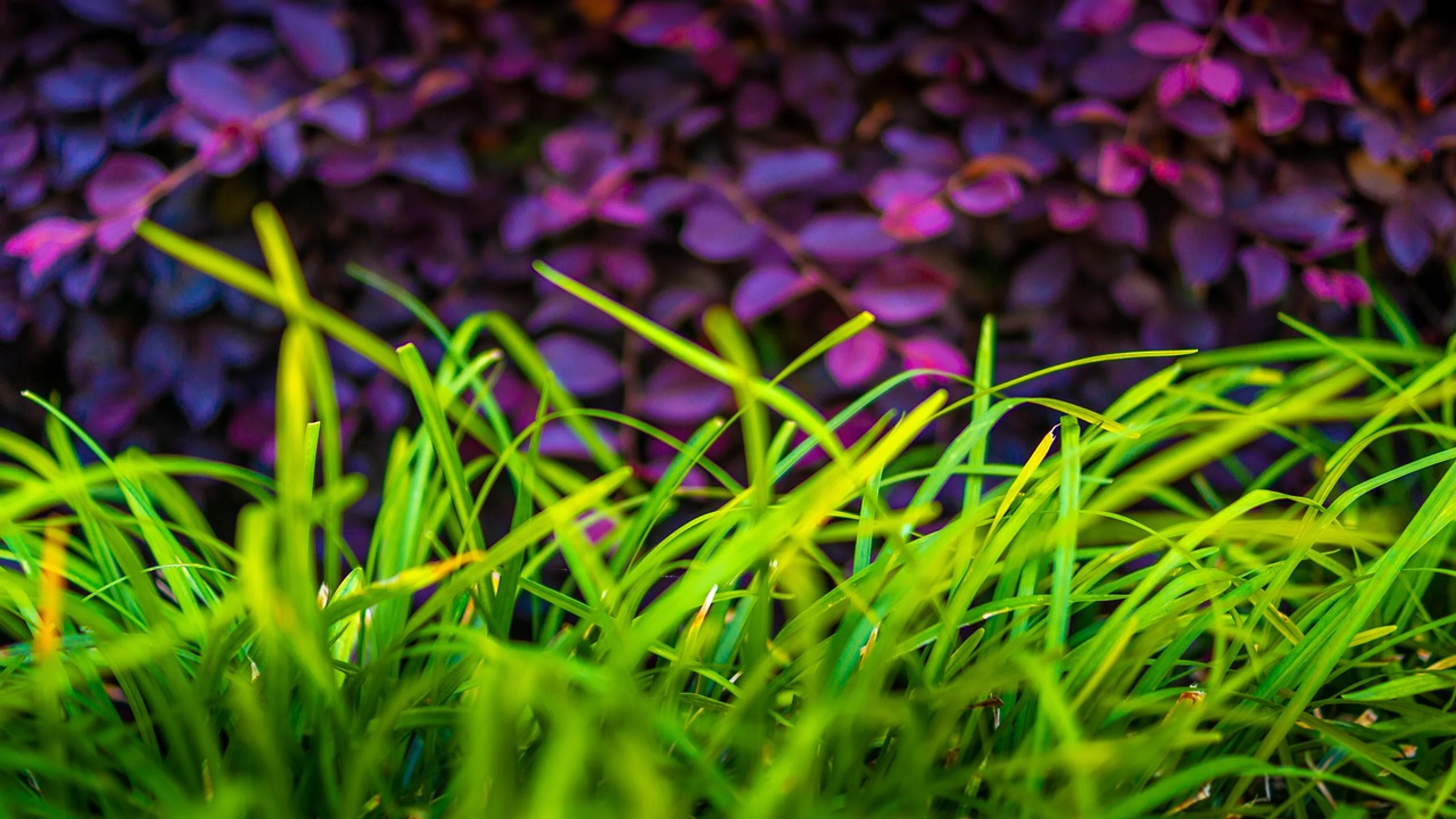 Vibrant colorful abstract - free 4K Ultra HD abstract wallpaper for desktop