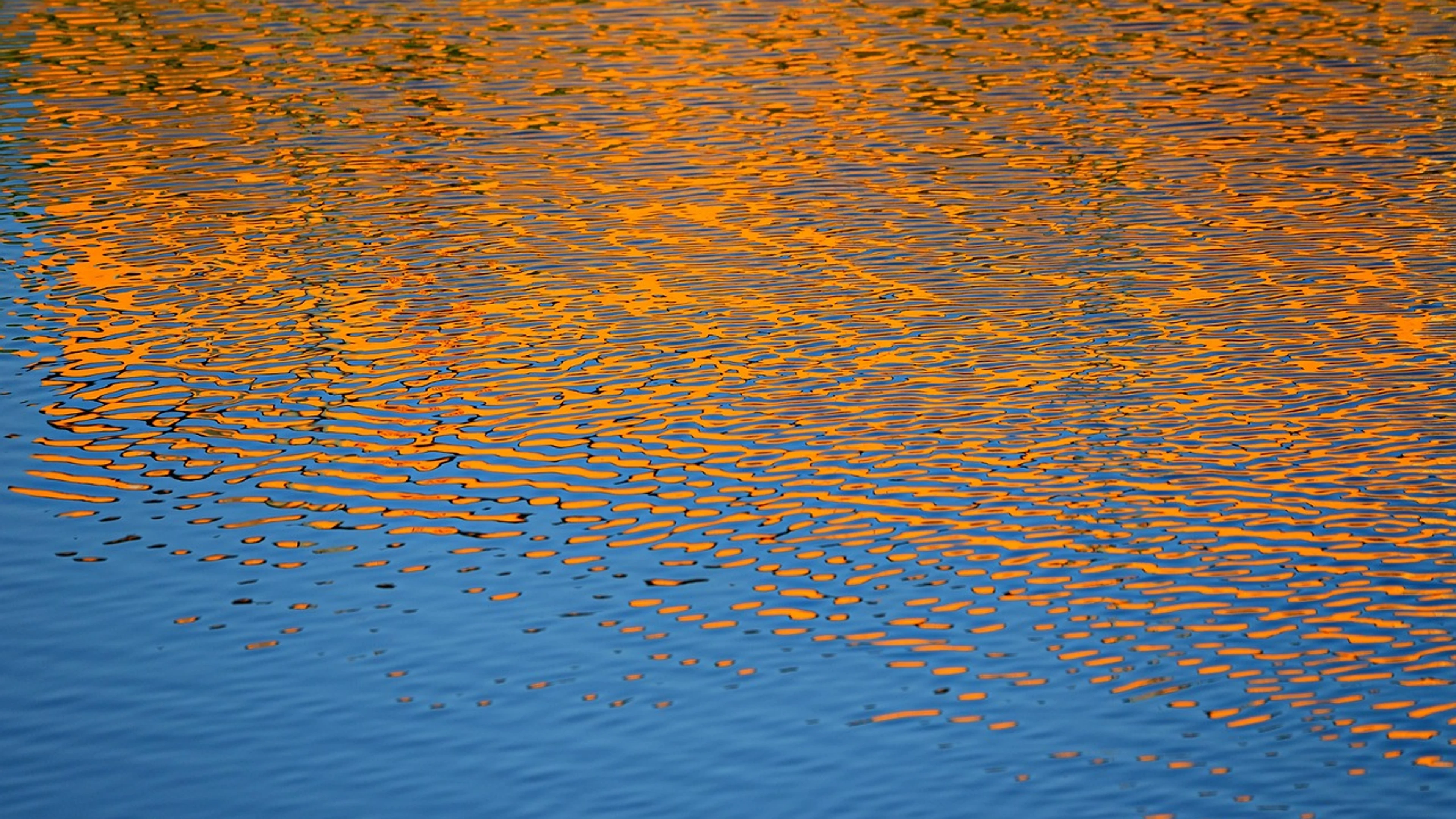 Water ripple nature - free 4K Ultra HD abstract wallpaper for desktop
