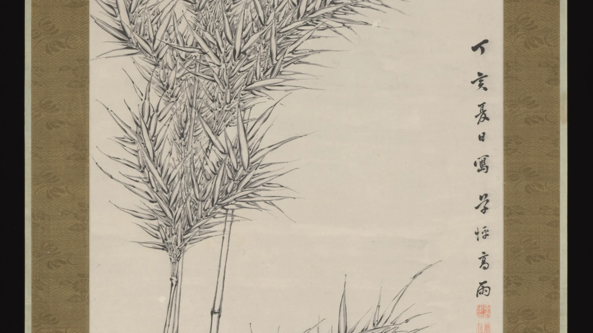 Bamboo in Summer - free hd aesthetic wallpaper for desktop