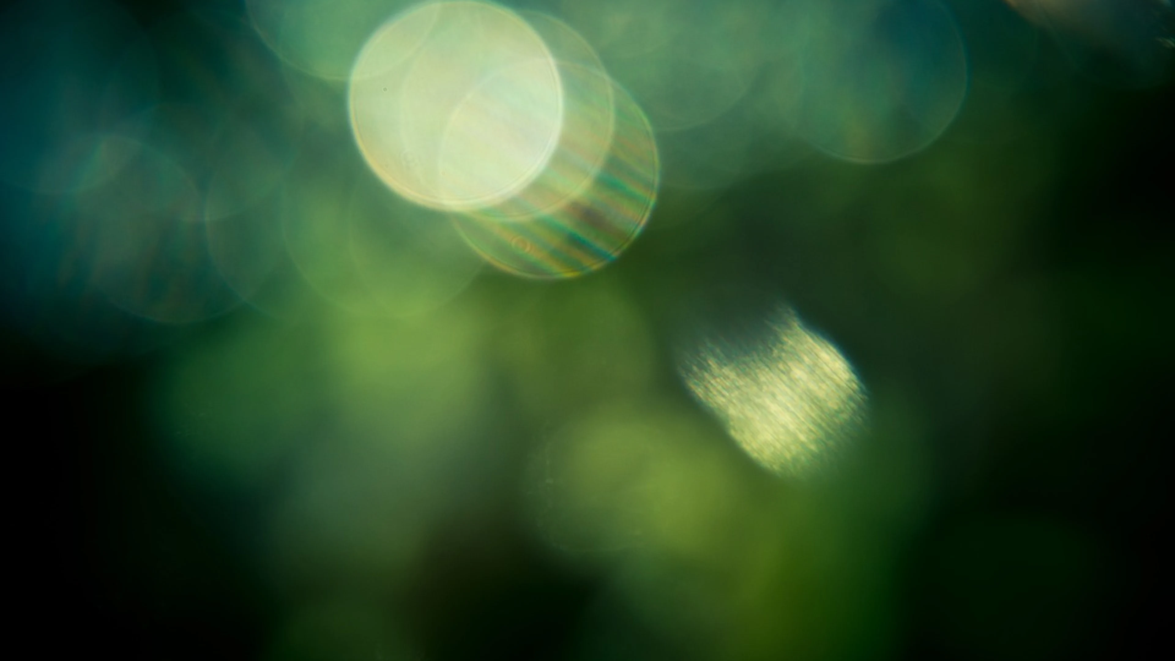 Bokeh free wallpaper effect - free 4K Ultra HD aesthetic wallpaper for desktop
