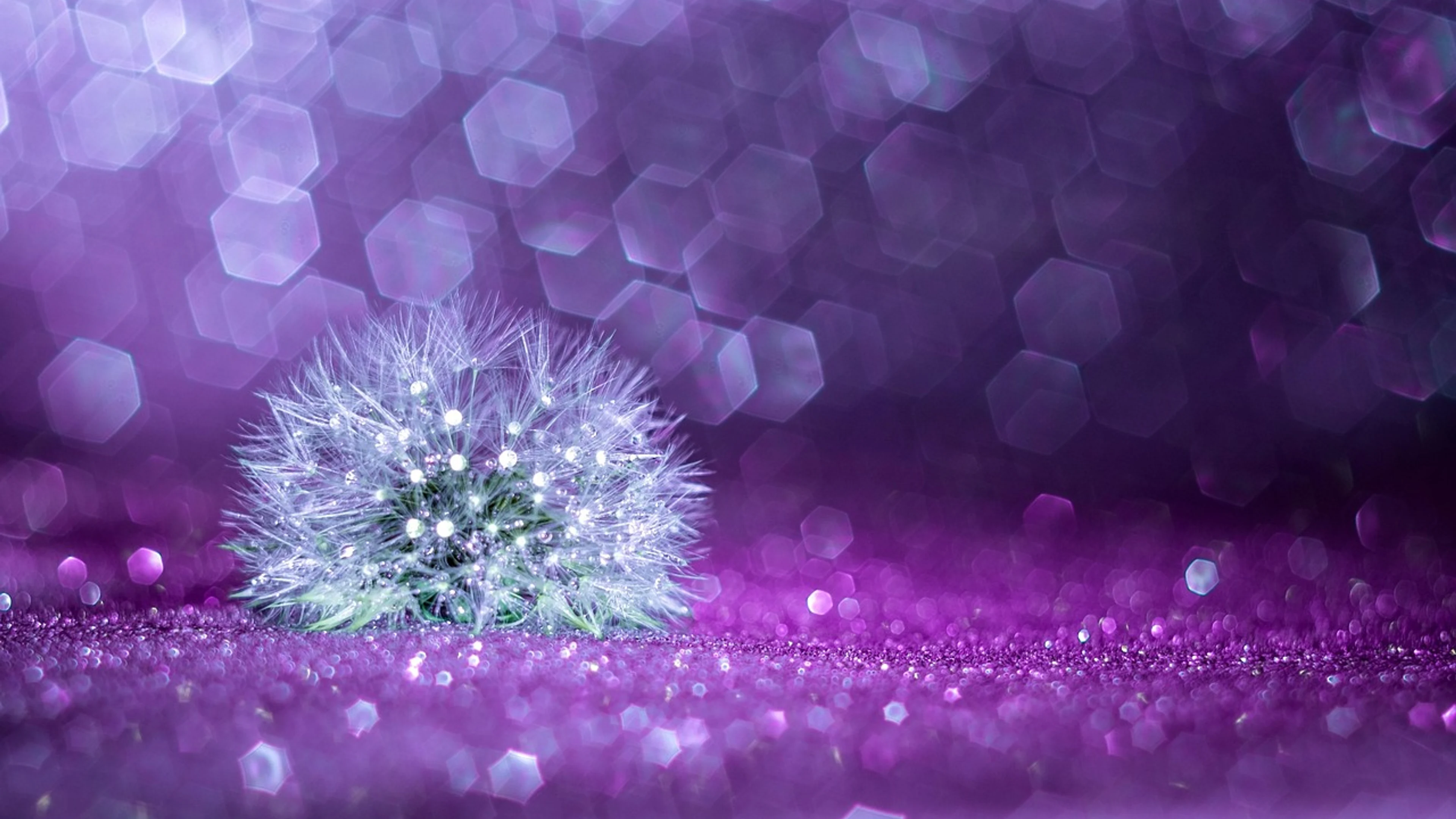 Bokeh tabletop trioplan - free 4K Ultra HD aesthetic wallpaper for desktop