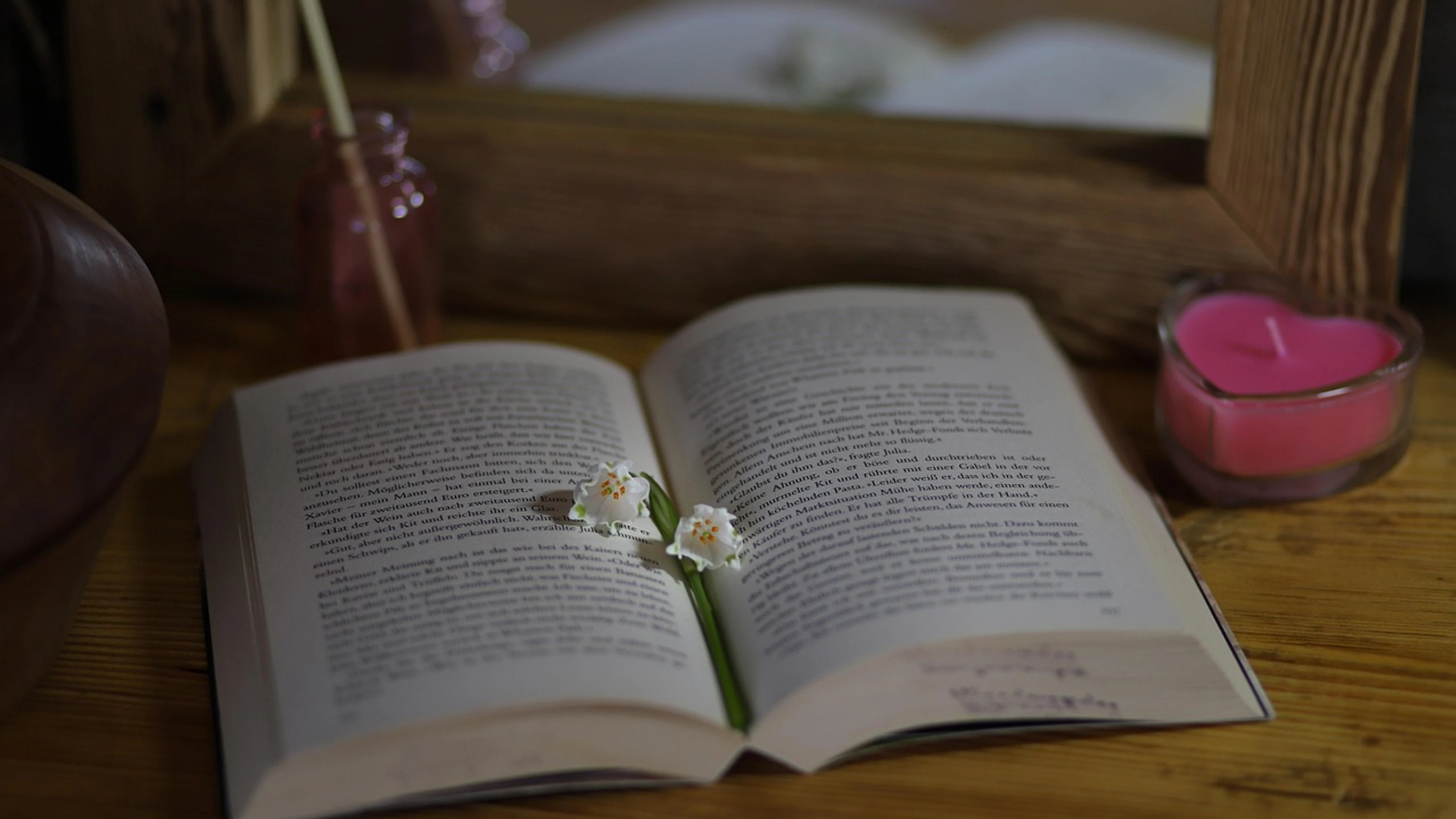 Book reading literature - free 4K Ultra HD aesthetic wallpaper for desktop