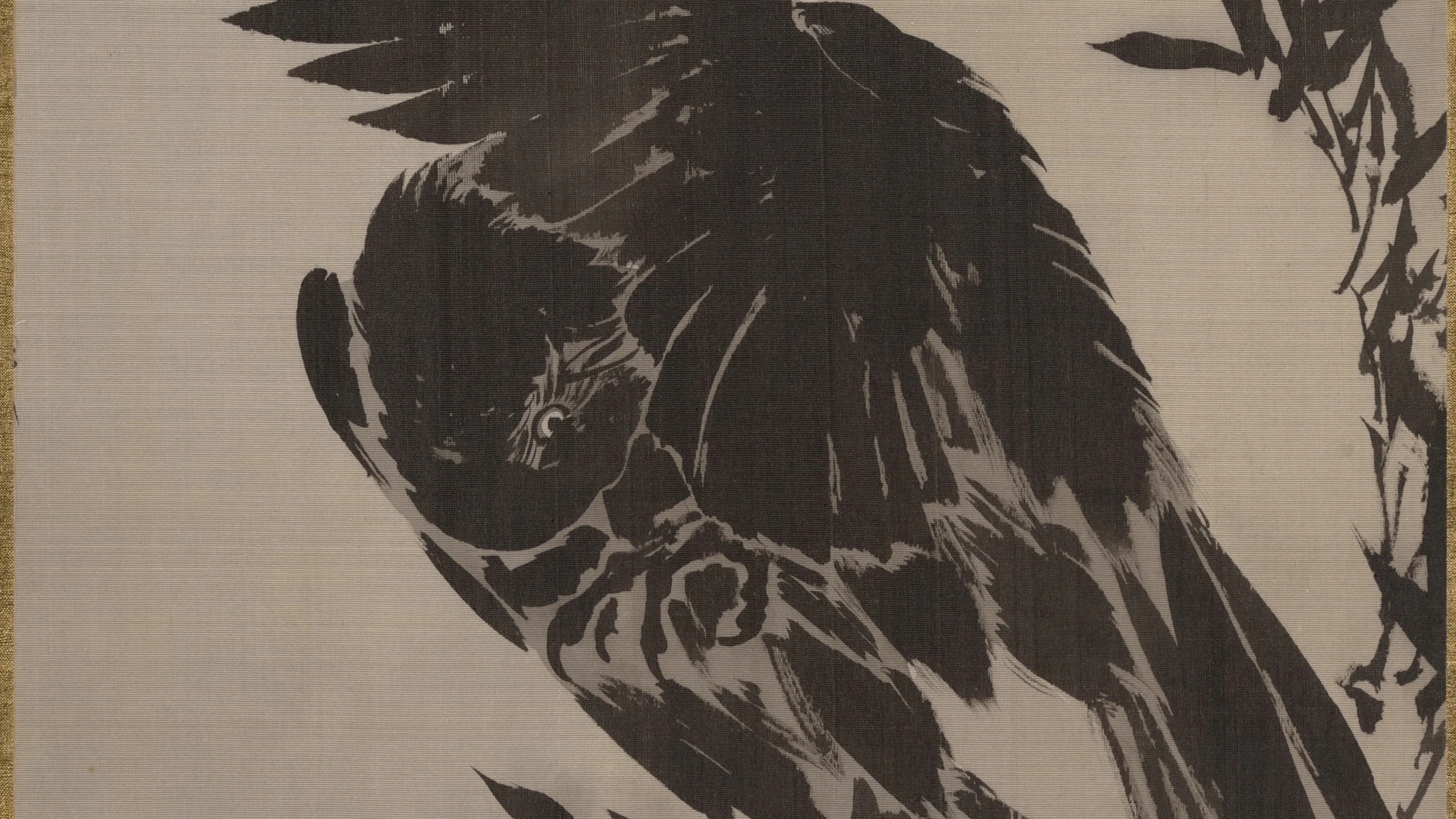 Crow on a Rock - free hd aesthetic wallpaper for desktop