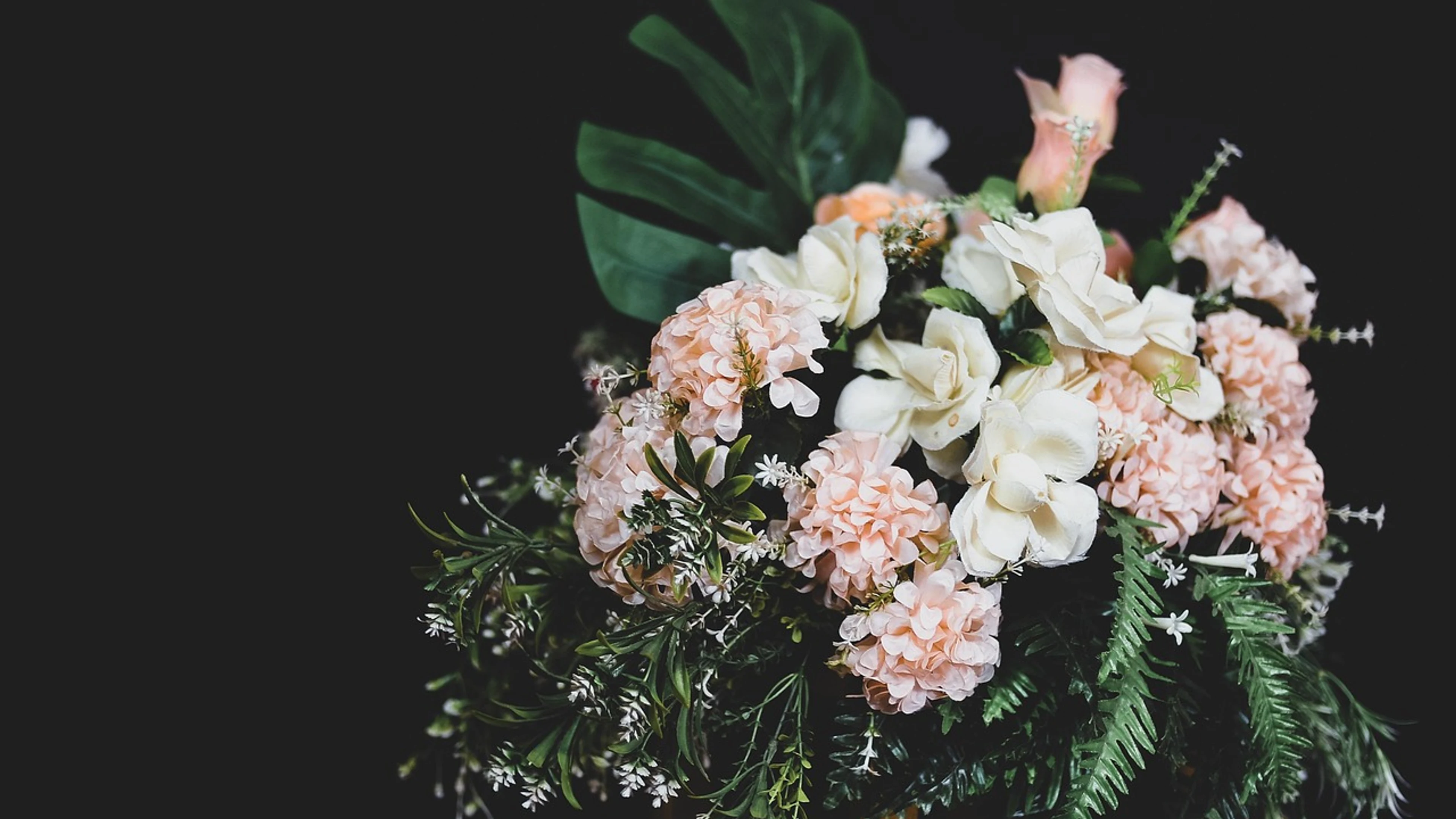 Flower nature flower background - free 4K Ultra HD aesthetic wallpaper for desktop