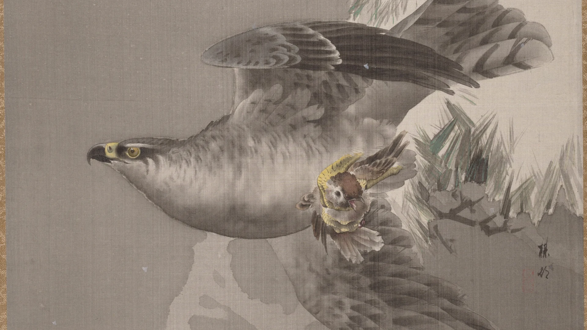 Hawk Holding a Small Bird - free hd aesthetic wallpaper for desktop