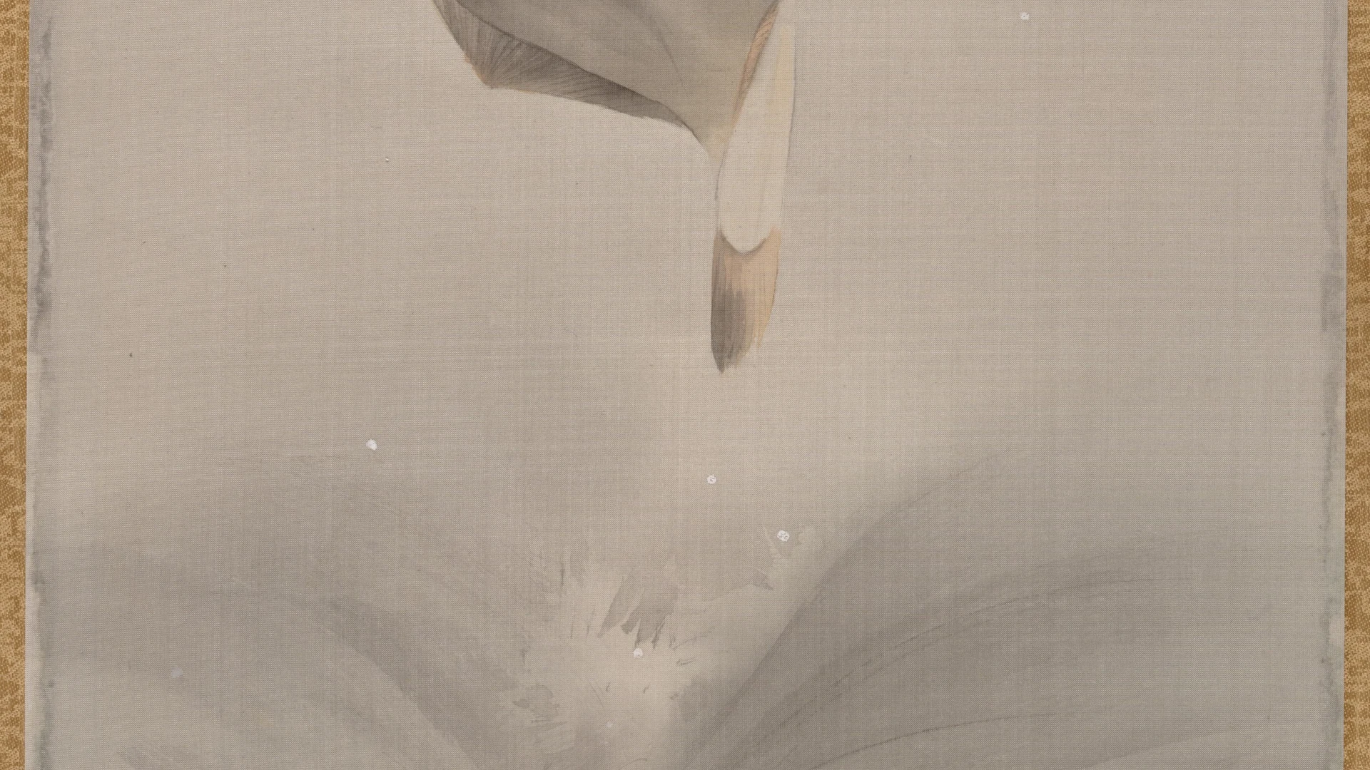 Jumping Fish - free hd aesthetic wallpaper for desktop