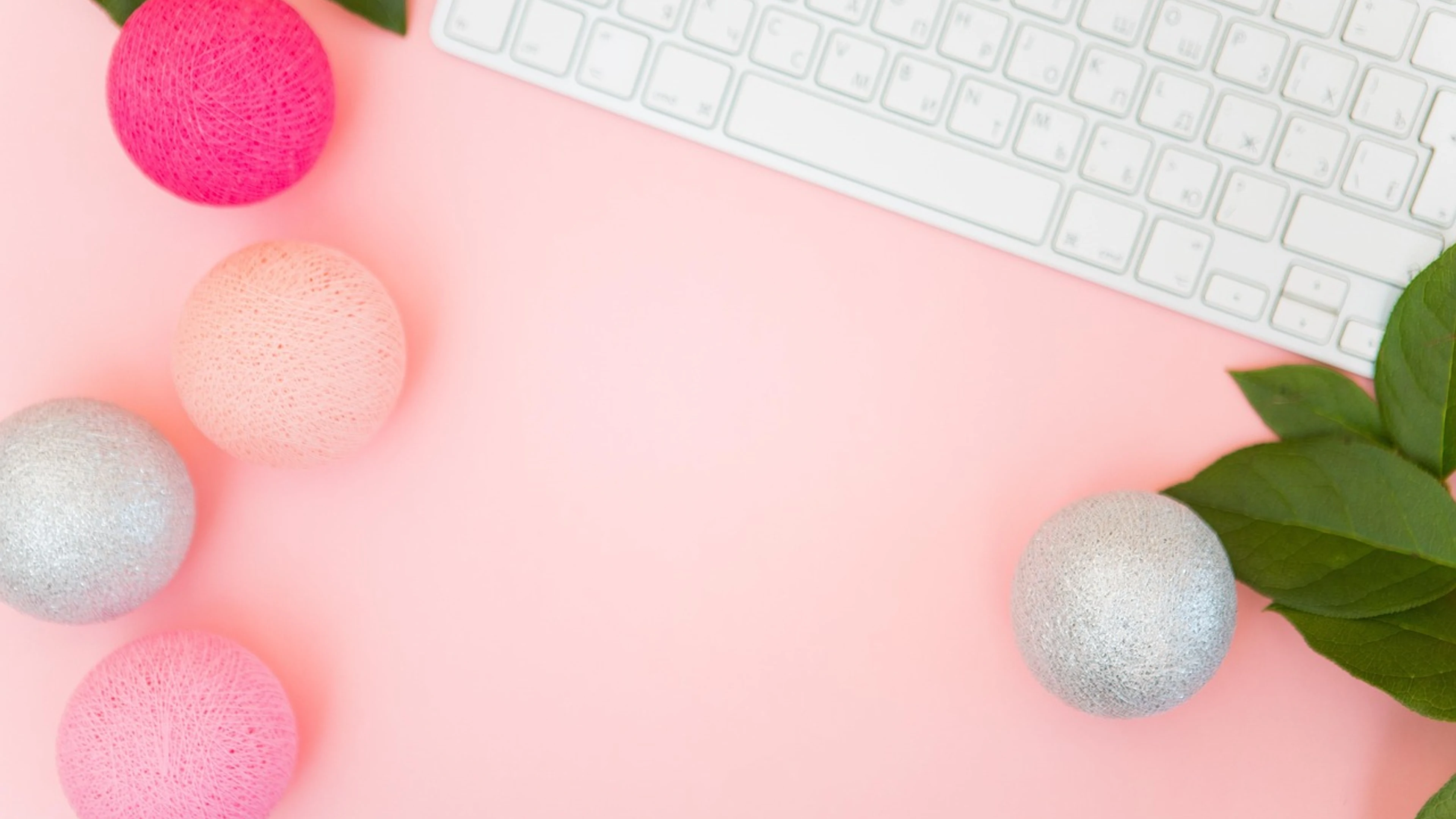 Pearl rose rose flower - free 4K Ultra HD aesthetic wallpaper for desktop