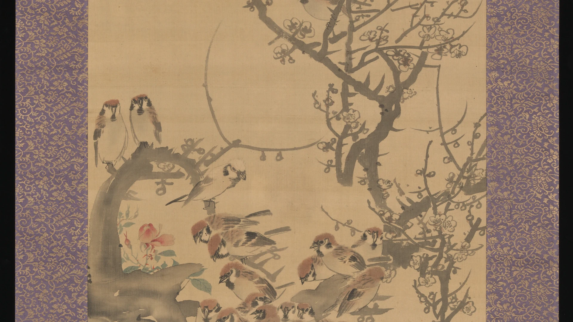 Sparrows in a Plum Tree - free hd aesthetic wallpaper for desktop