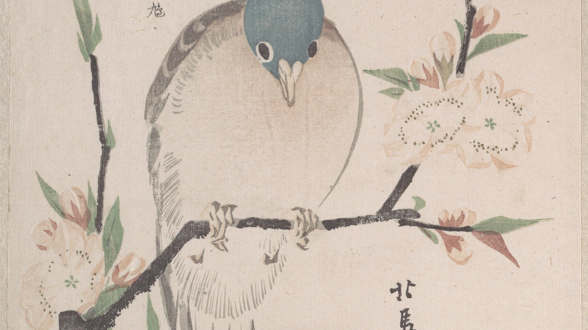 Spring Rain Collection (Harusame shū), vol. 3: Mountain Dove and Peach Flowers - free hd aesthetic wallpaper for desktop