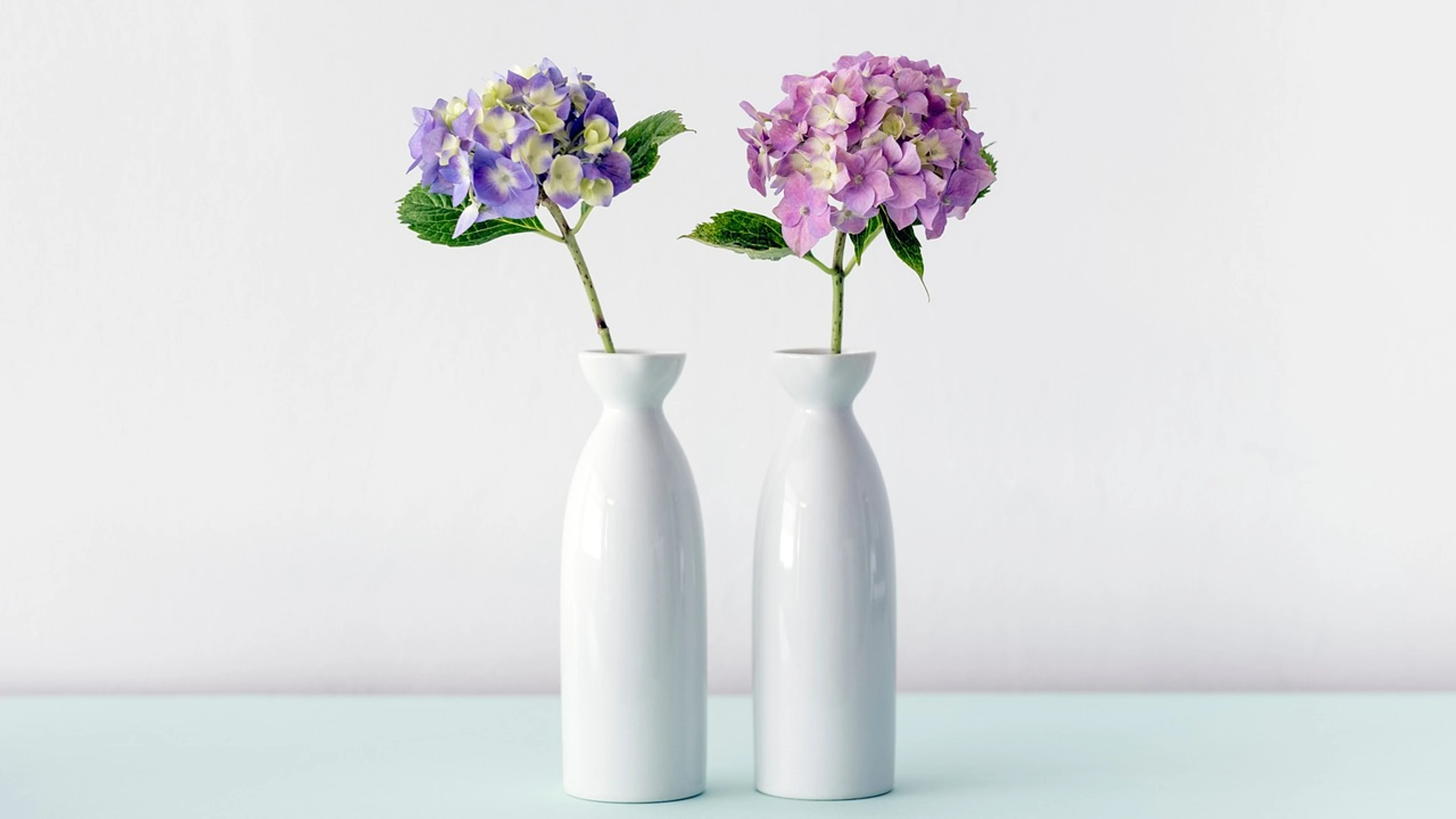 White ceramic vase - free 4K Ultra HD aesthetic wallpaper for desktop