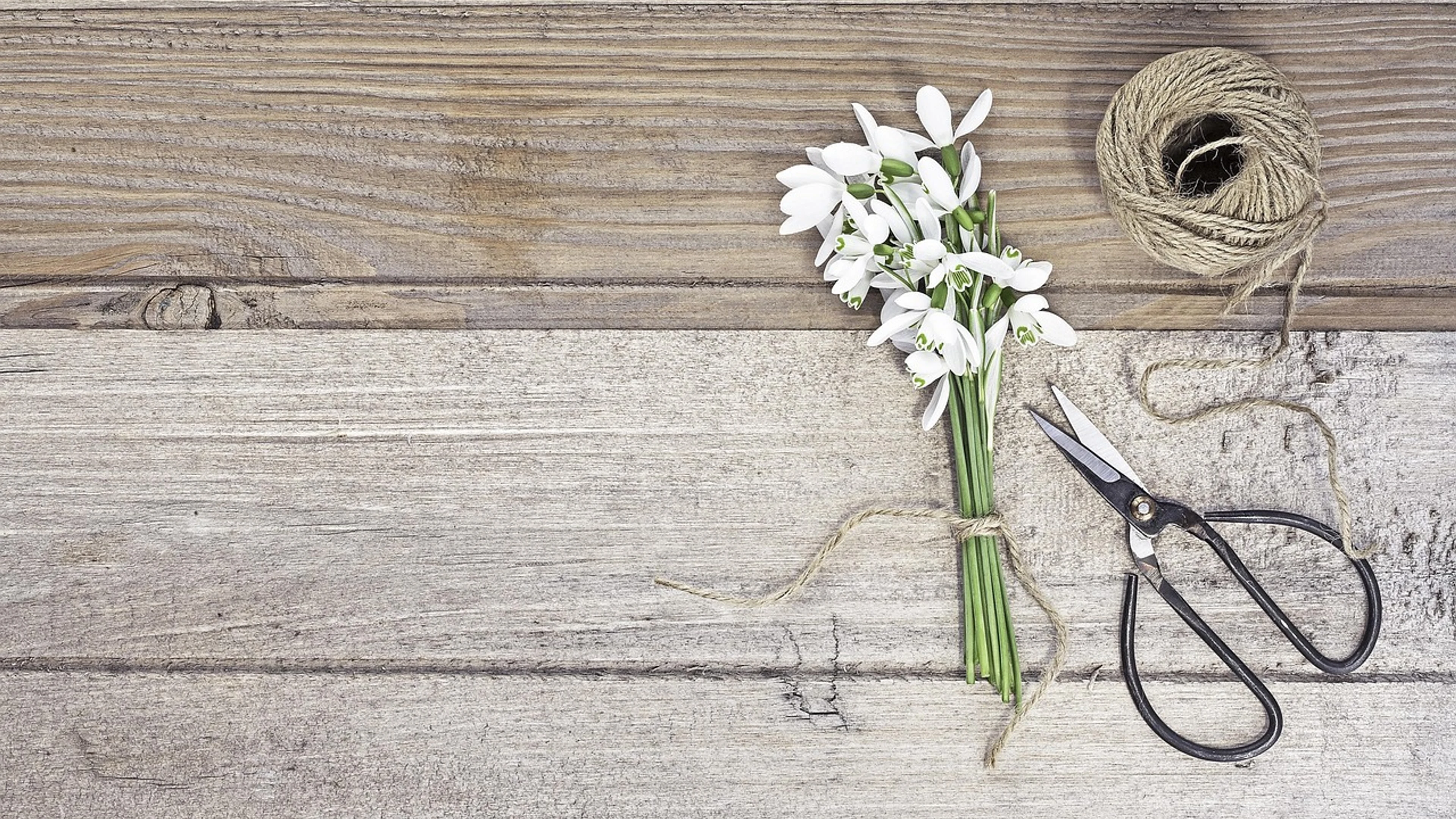 Wood flower flower wallpaper - free 4K Ultra HD aesthetic wallpaper for desktop