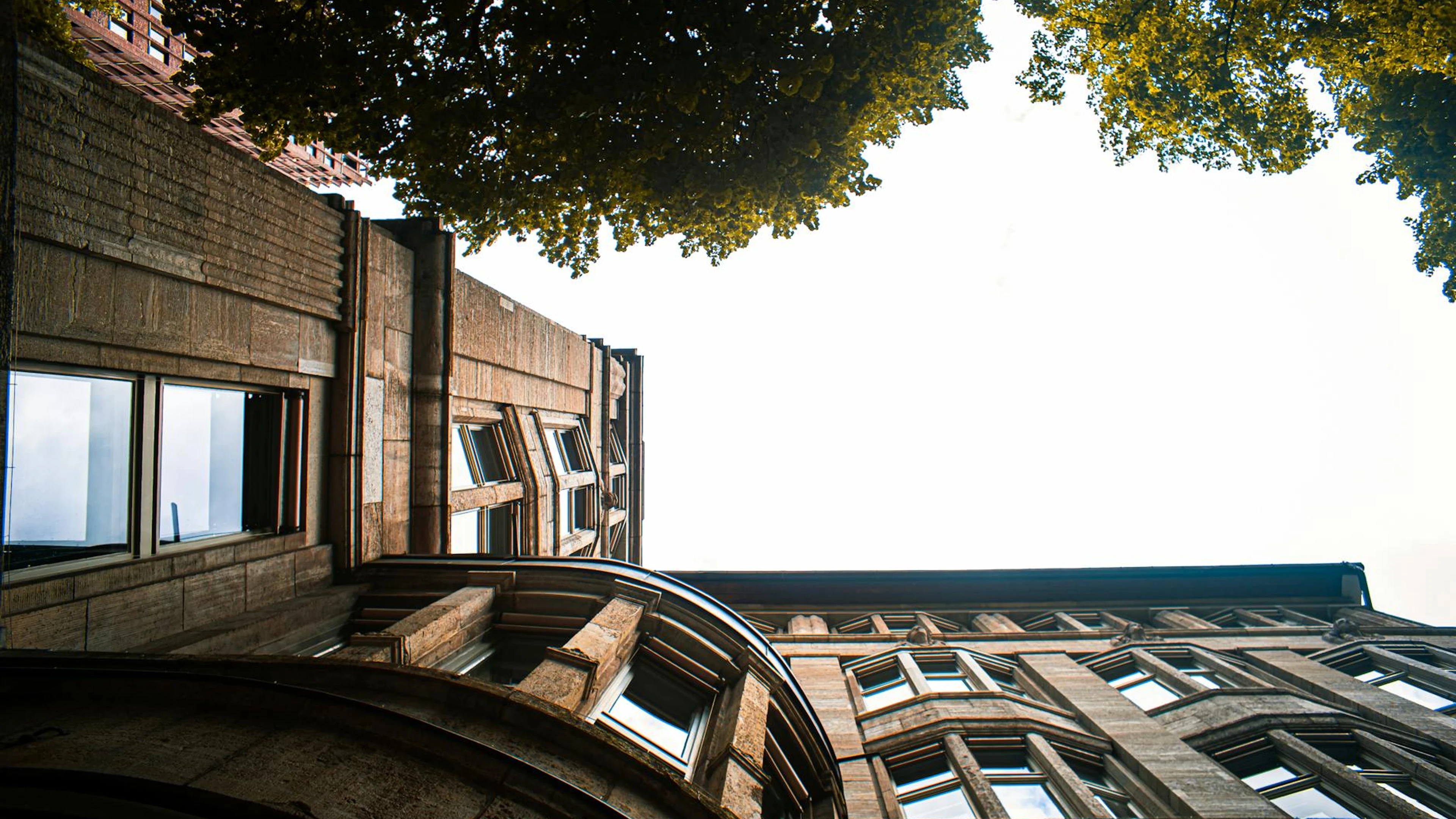 Low angle shot of classic architectural building framed by trees against clear s - free 4K Ultra HD architecture wallpaper for desktop