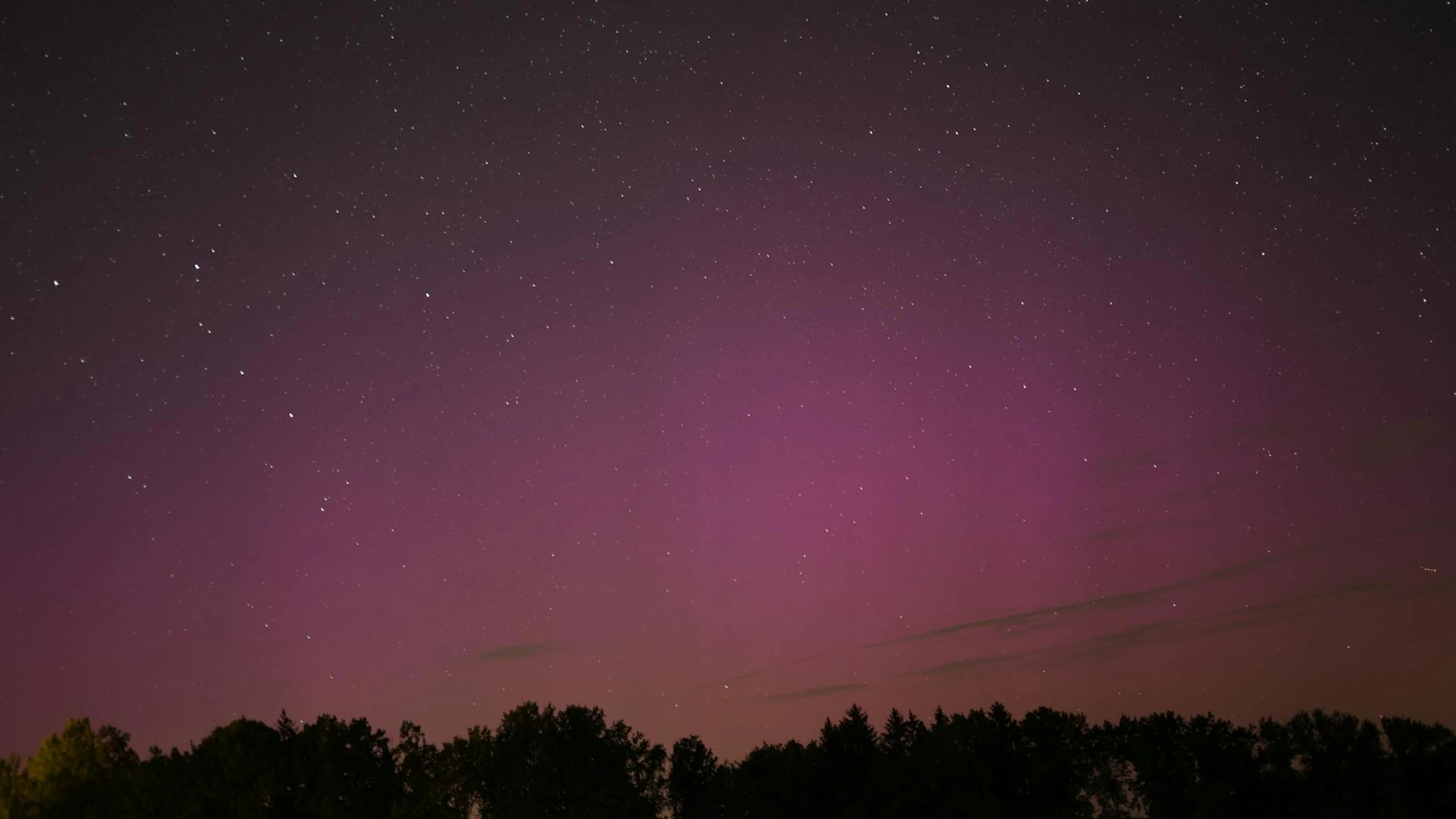 A captivating night sky with stars and purple aurora over a silhouette of trees. - free 4K Ultra HD aurora wallpaper for desktop