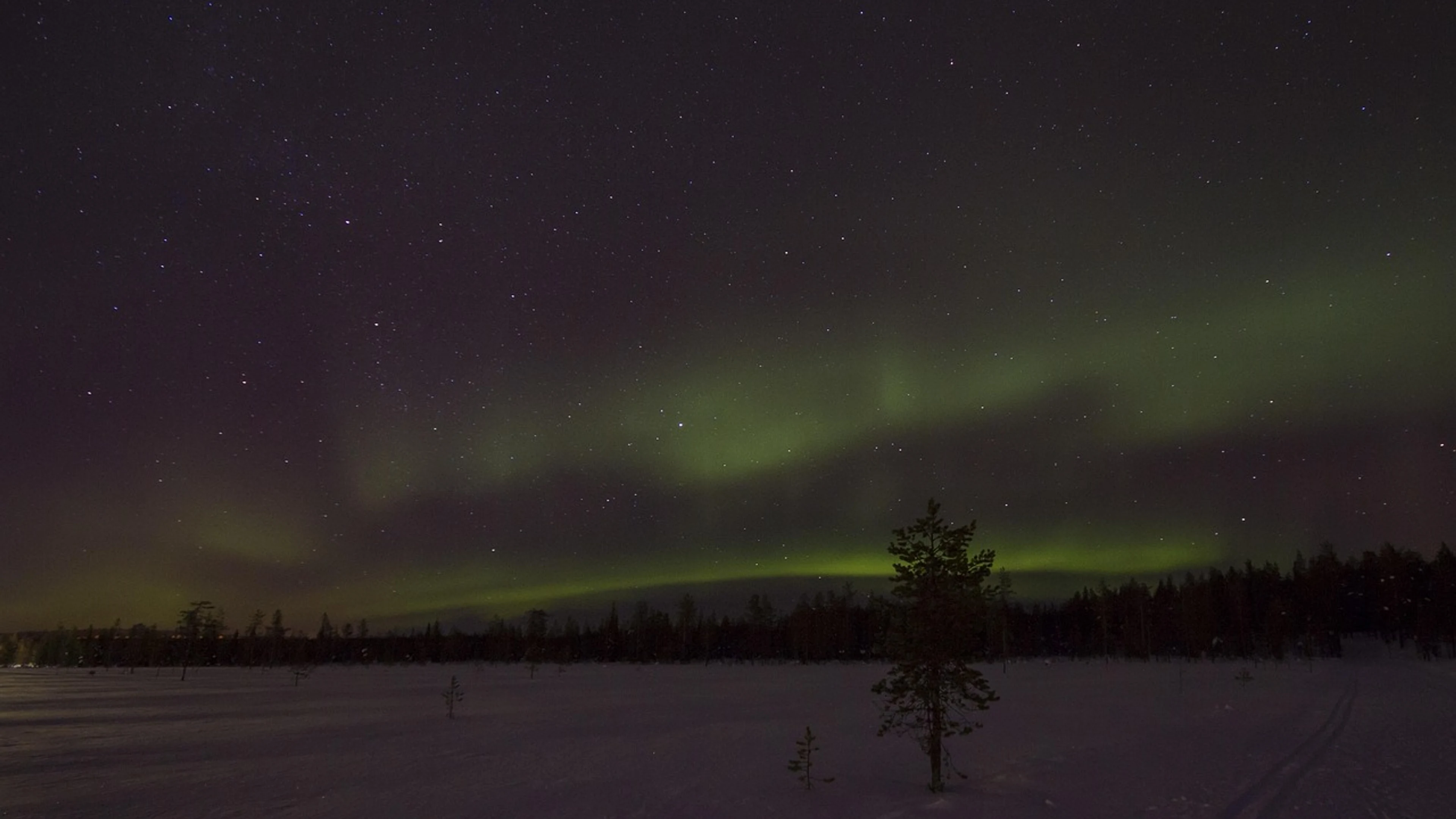 Lapland winter aurora - free 4K Ultra HD aurora wallpaper for desktop