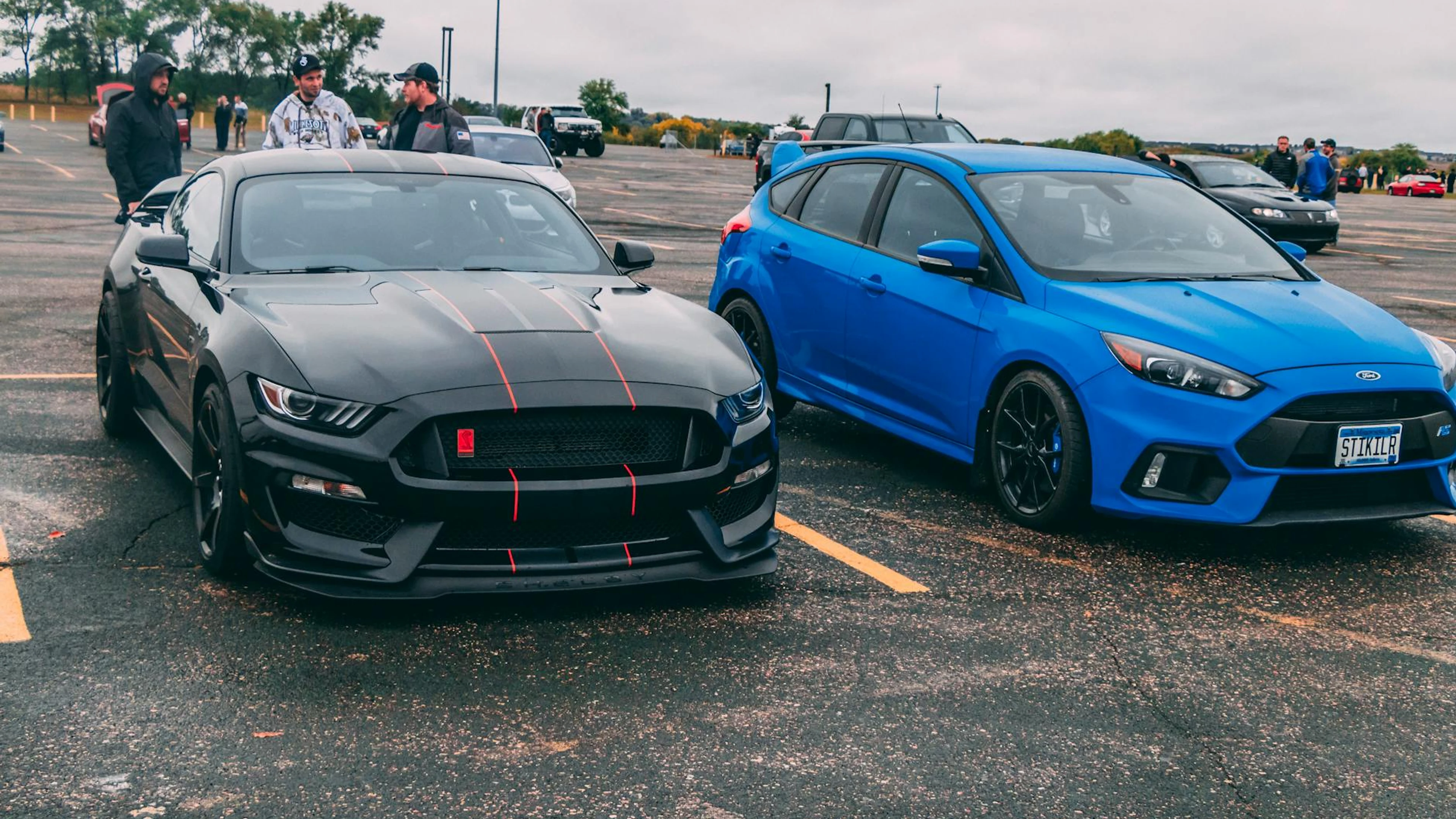 Black GT350 and blue Focus RS parked with spectators in the background. - free 4K Ultra HD cars wallpaper for desktop