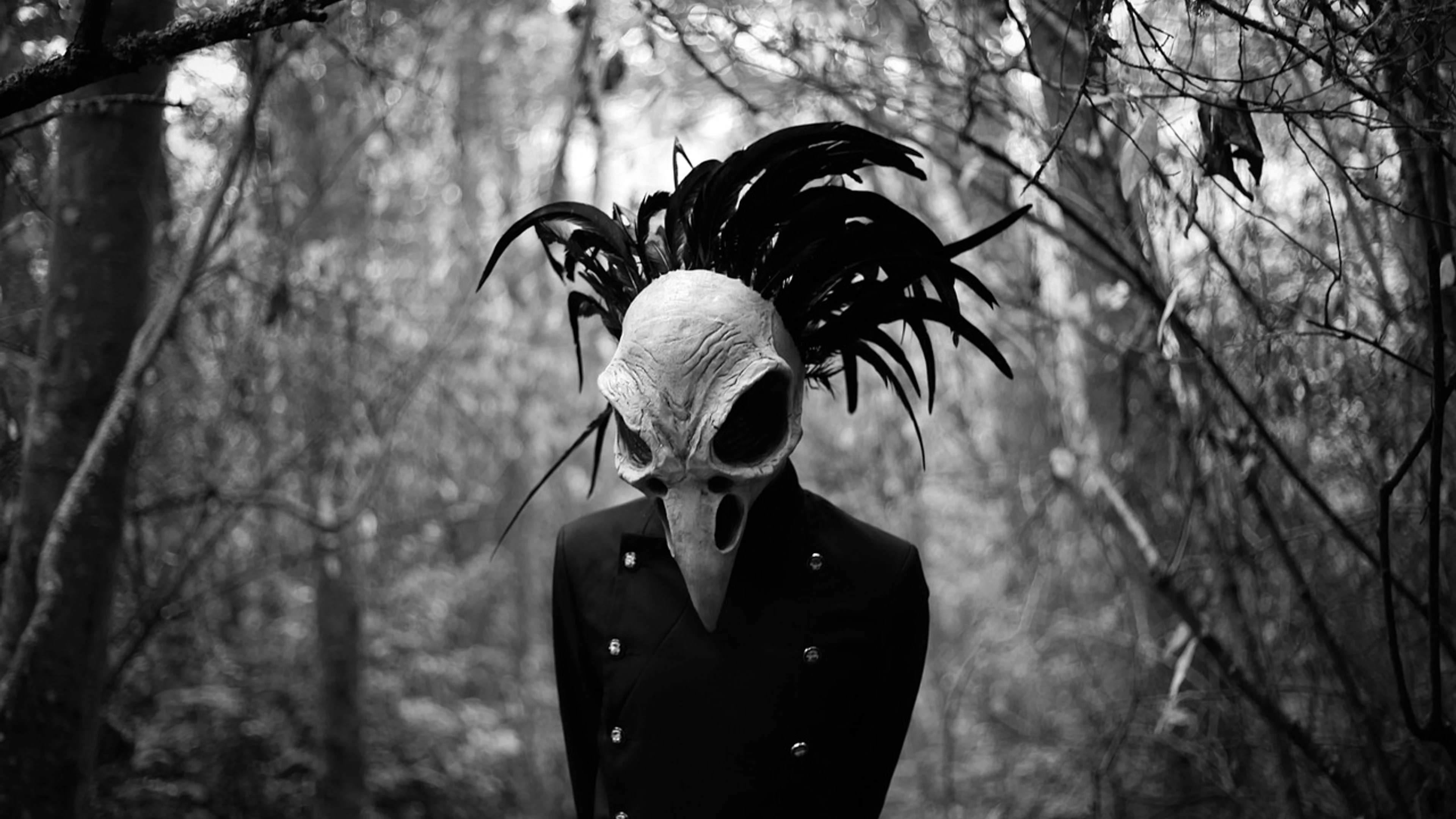 Bird skull skull creepy - free 4K Ultra HD dark wallpaper for desktop