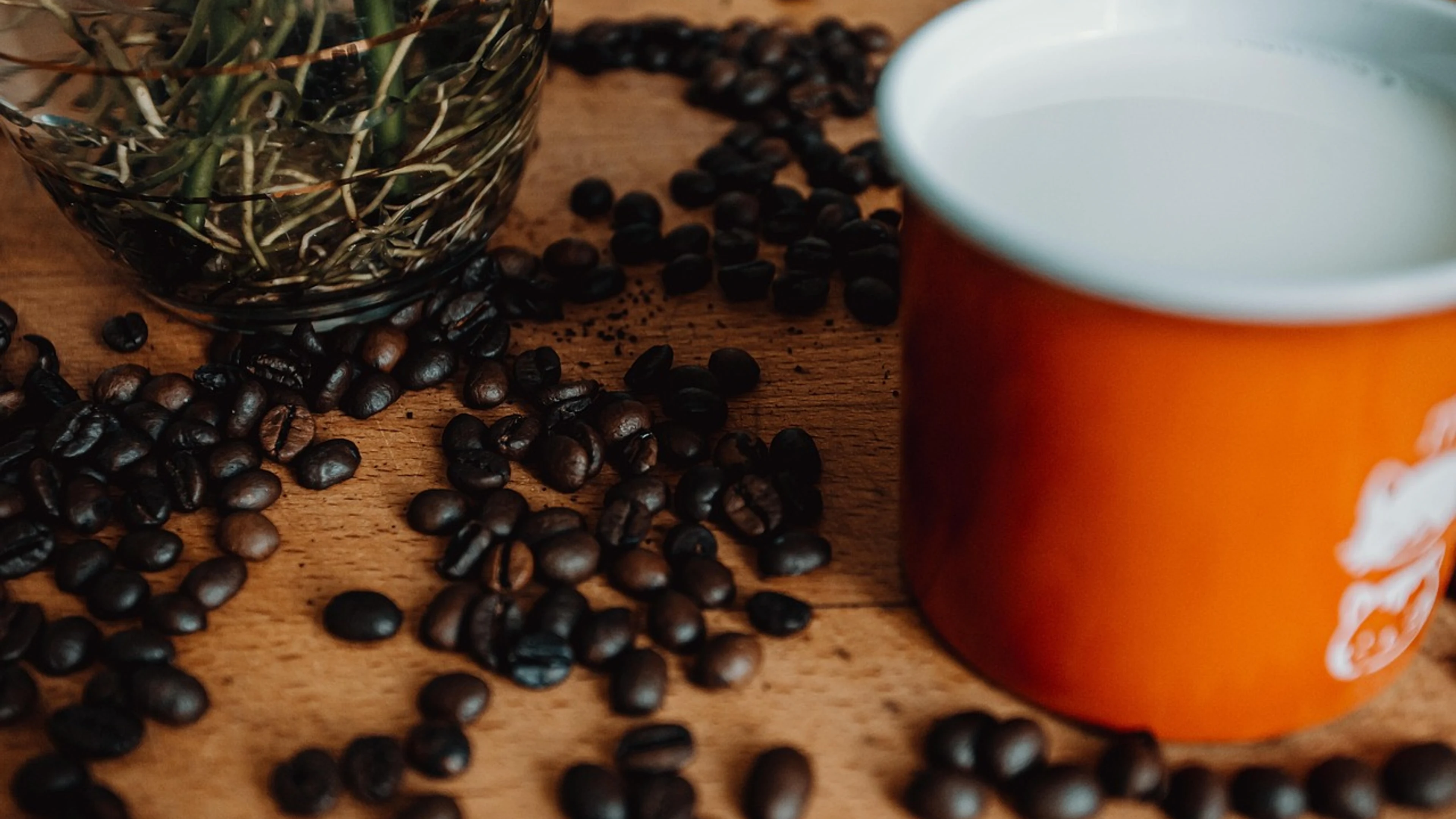 Coffe moody flower wallpaper - free 4K Ultra HD dark wallpaper for desktop