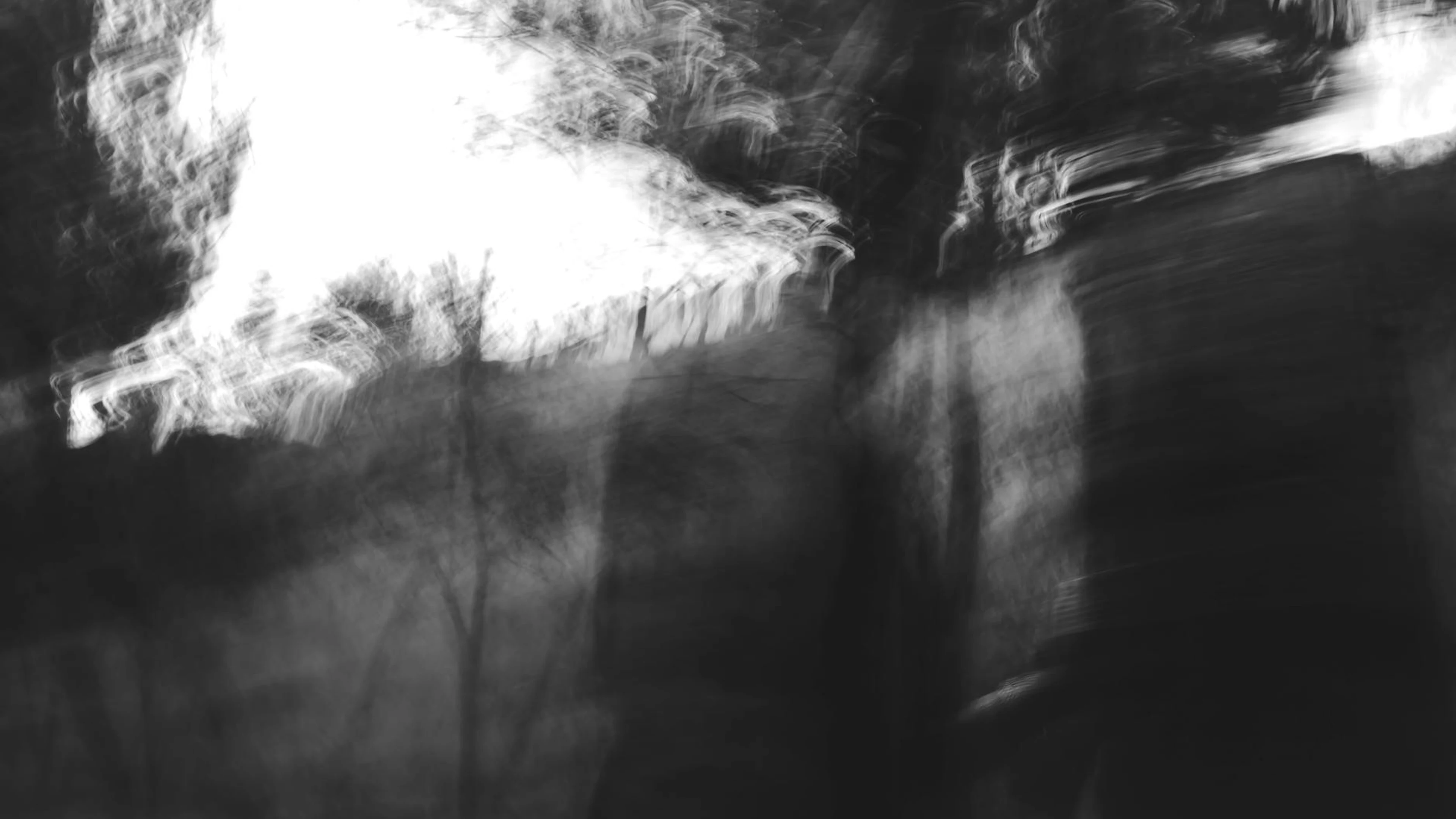 Dreamy black and white abstract photo with blurred trees, creating a mystical fo - free 4K Ultra HD dark wallpaper for desktop