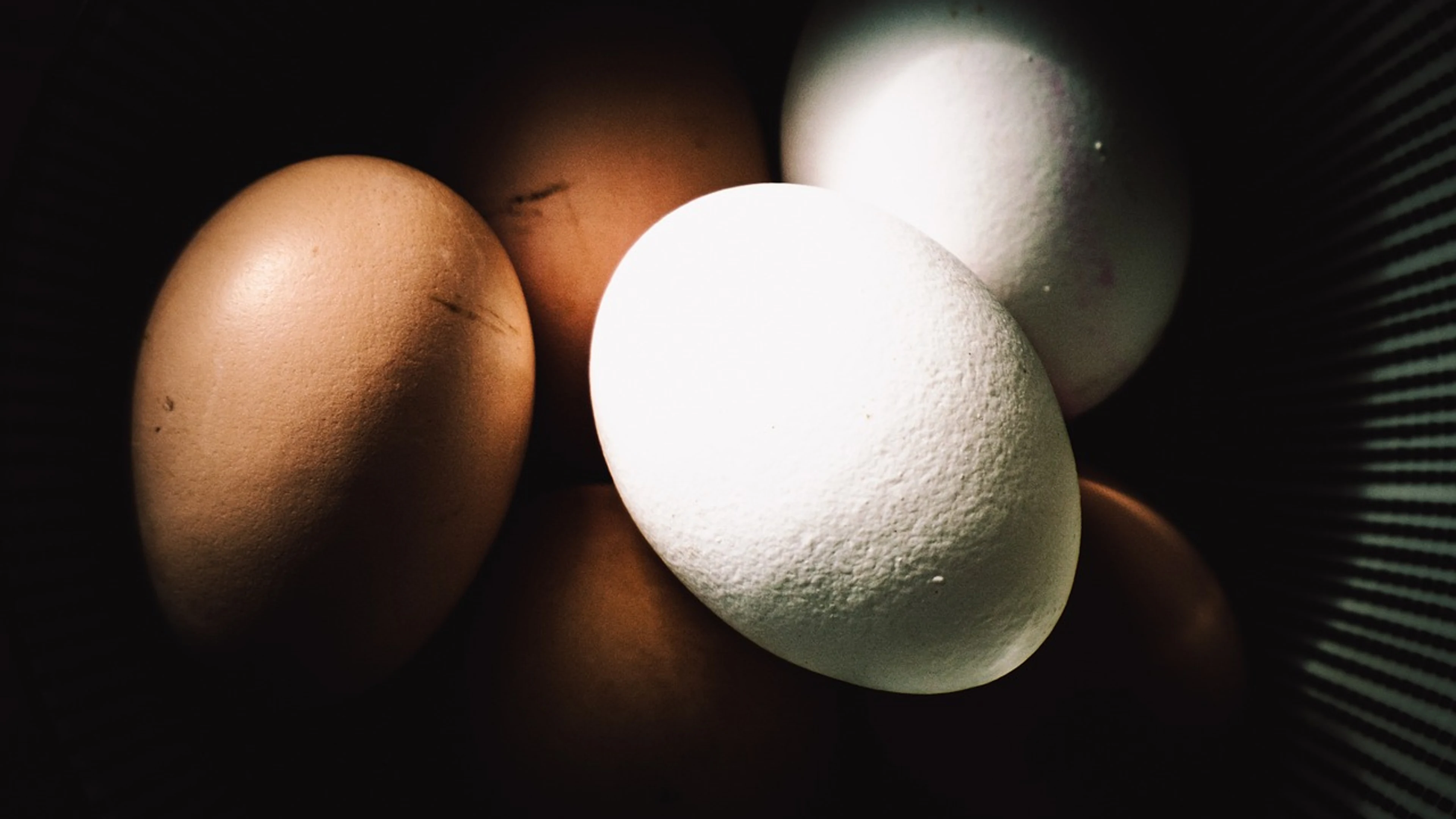 Eggs food closeup - free 4K Ultra HD dark wallpaper for desktop
