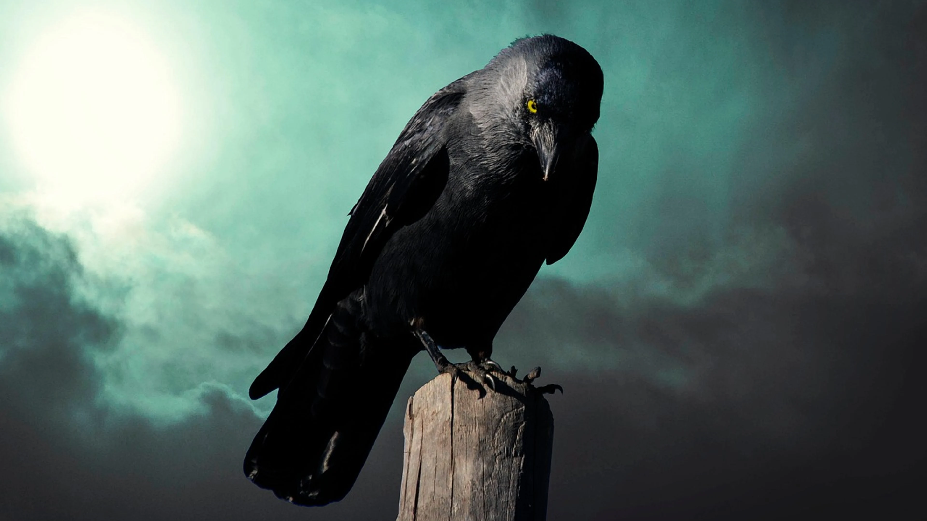 Fantasy crow mysterious - free 4K Ultra HD dark wallpaper for desktop