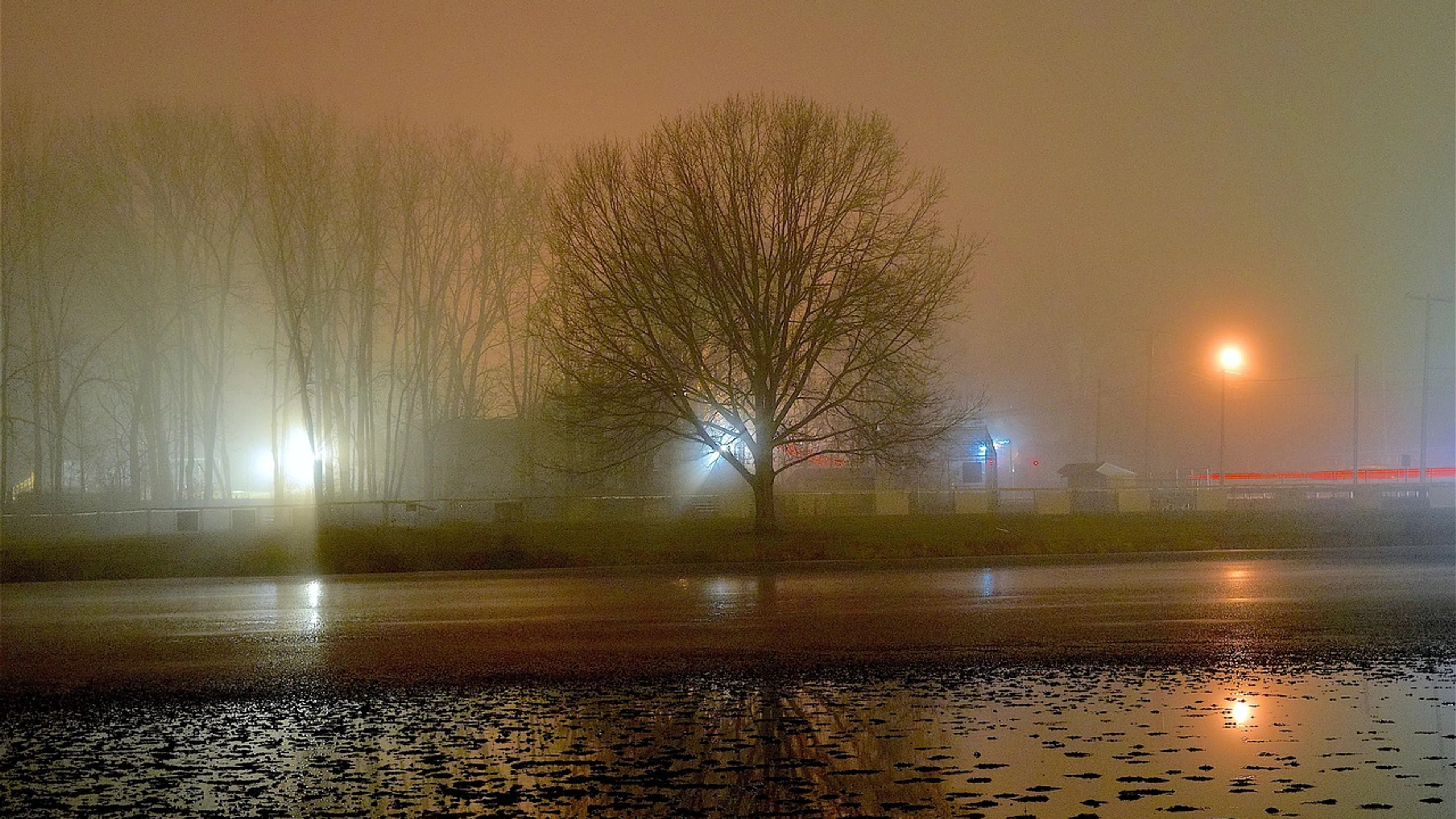 Fog night tree - free 4K Ultra HD dark wallpaper for desktop