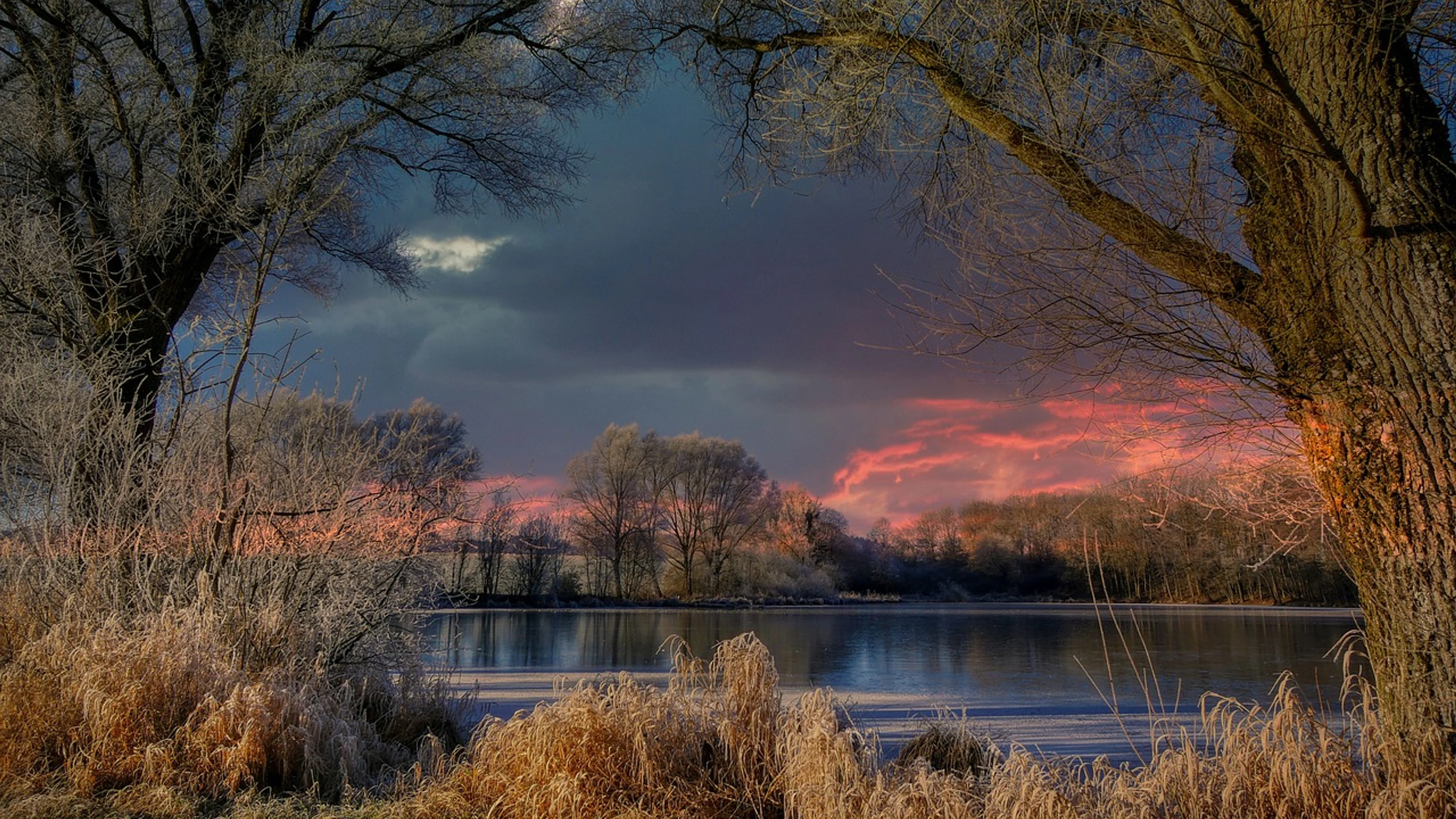 Night eve dark - free 4K Ultra HD dark wallpaper for desktop