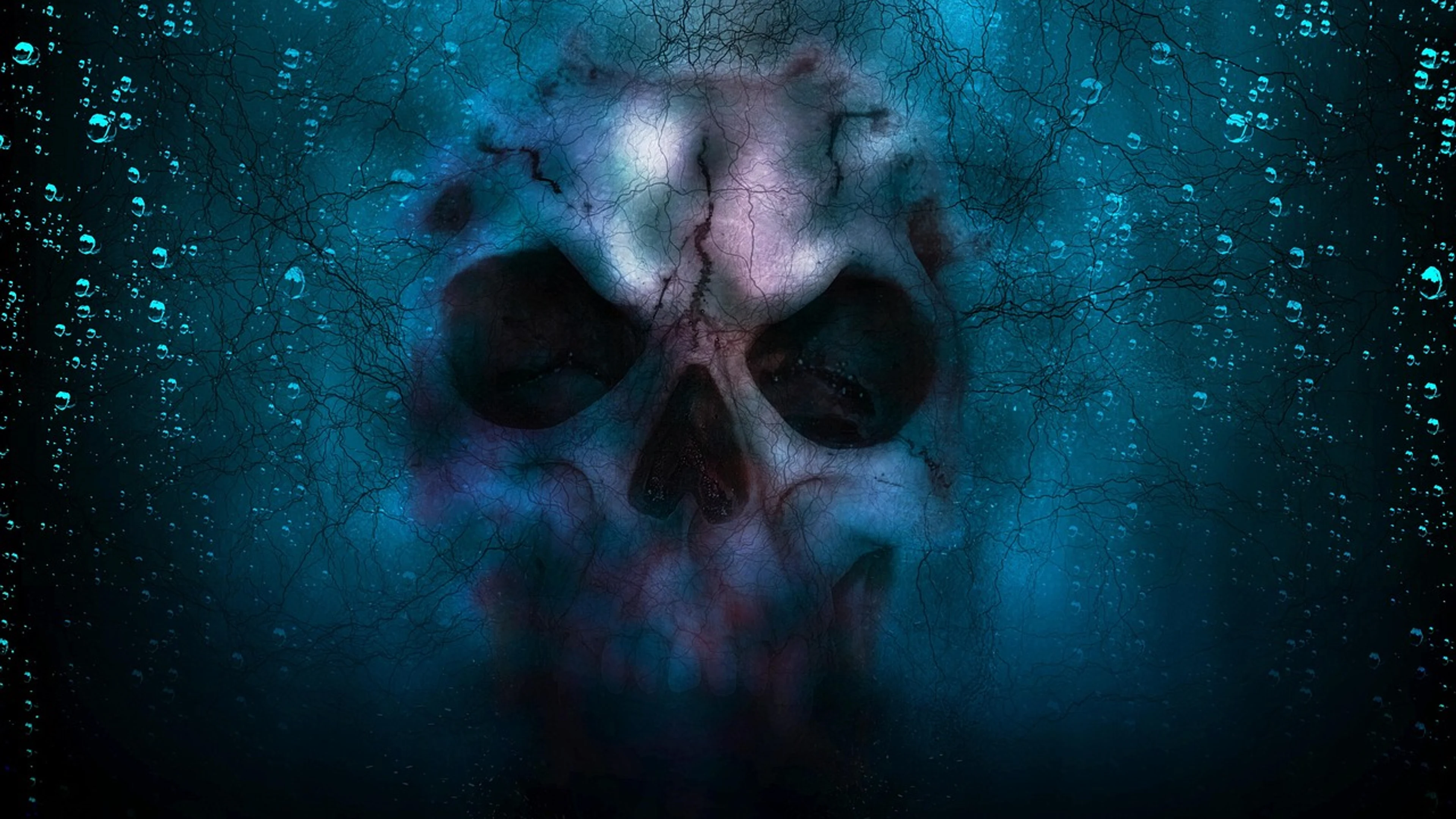 Skull horror halloween - free 4K Ultra HD dark wallpaper for desktop