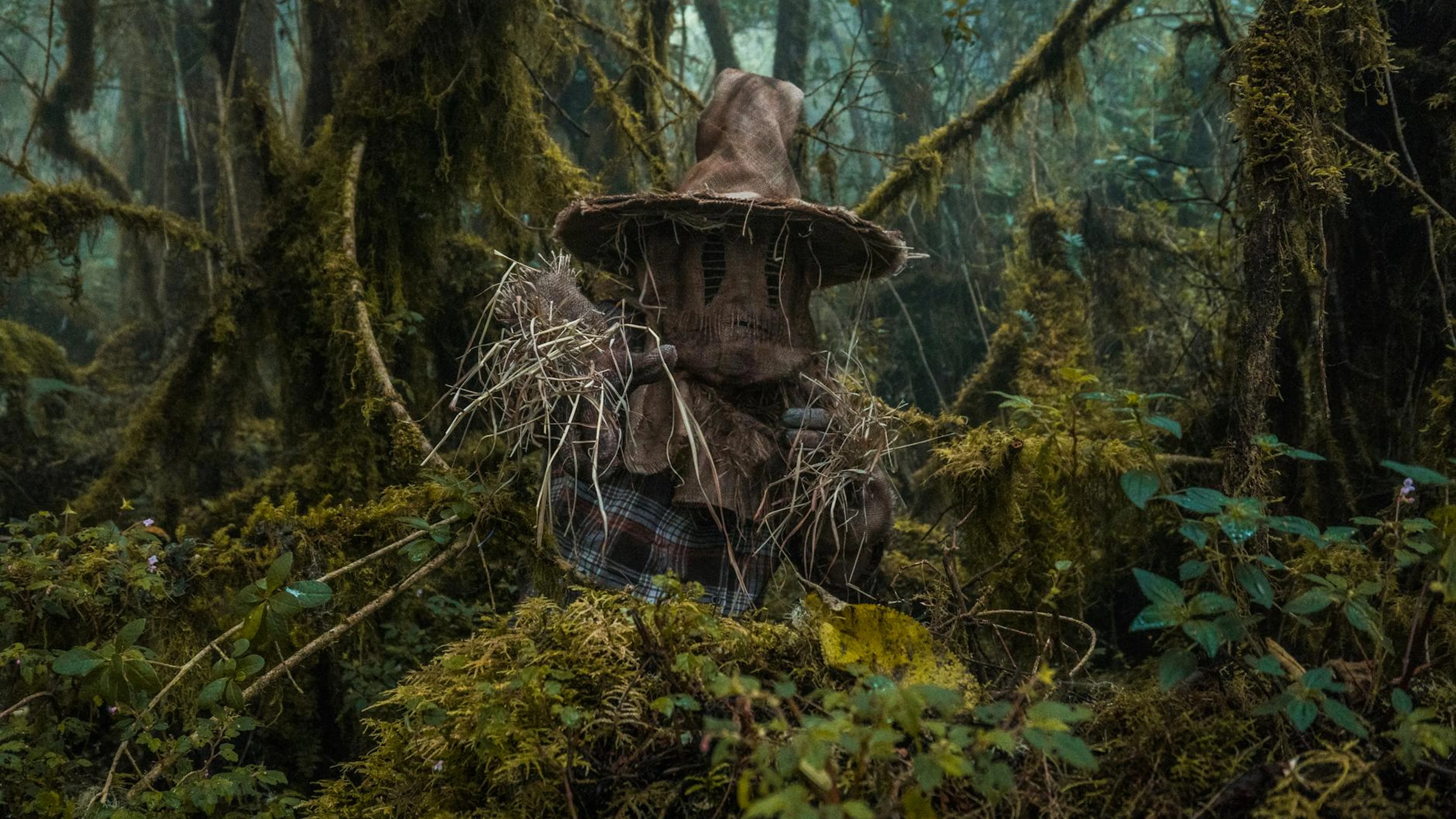 A mysterious figure with a straw hat hiding in a dense, mystical forest in Choac - free 4K Ultra HD fantasy wallpaper for desktop