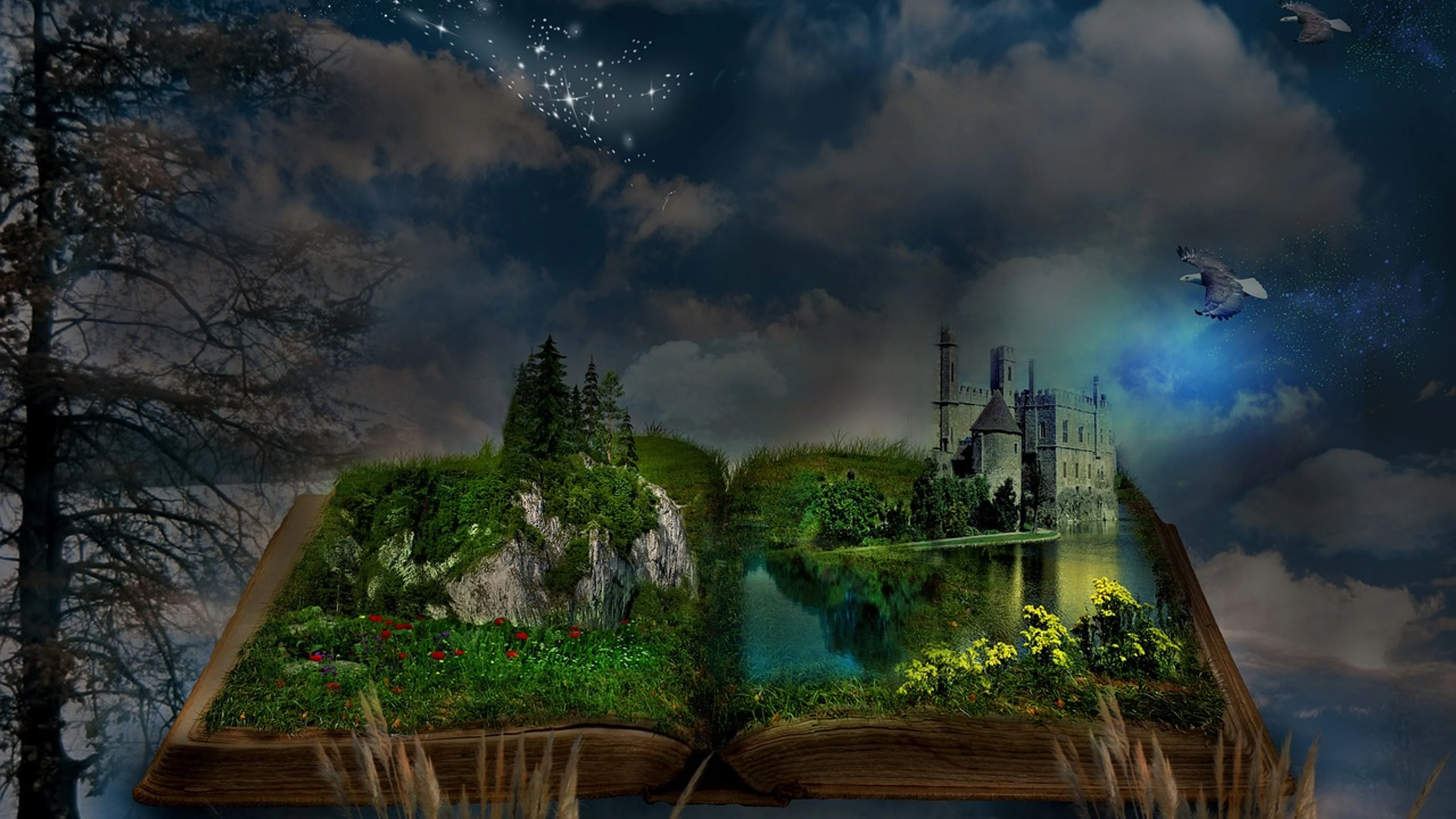 Book manipulation nature - free 4K Ultra HD fantasy wallpaper for desktop