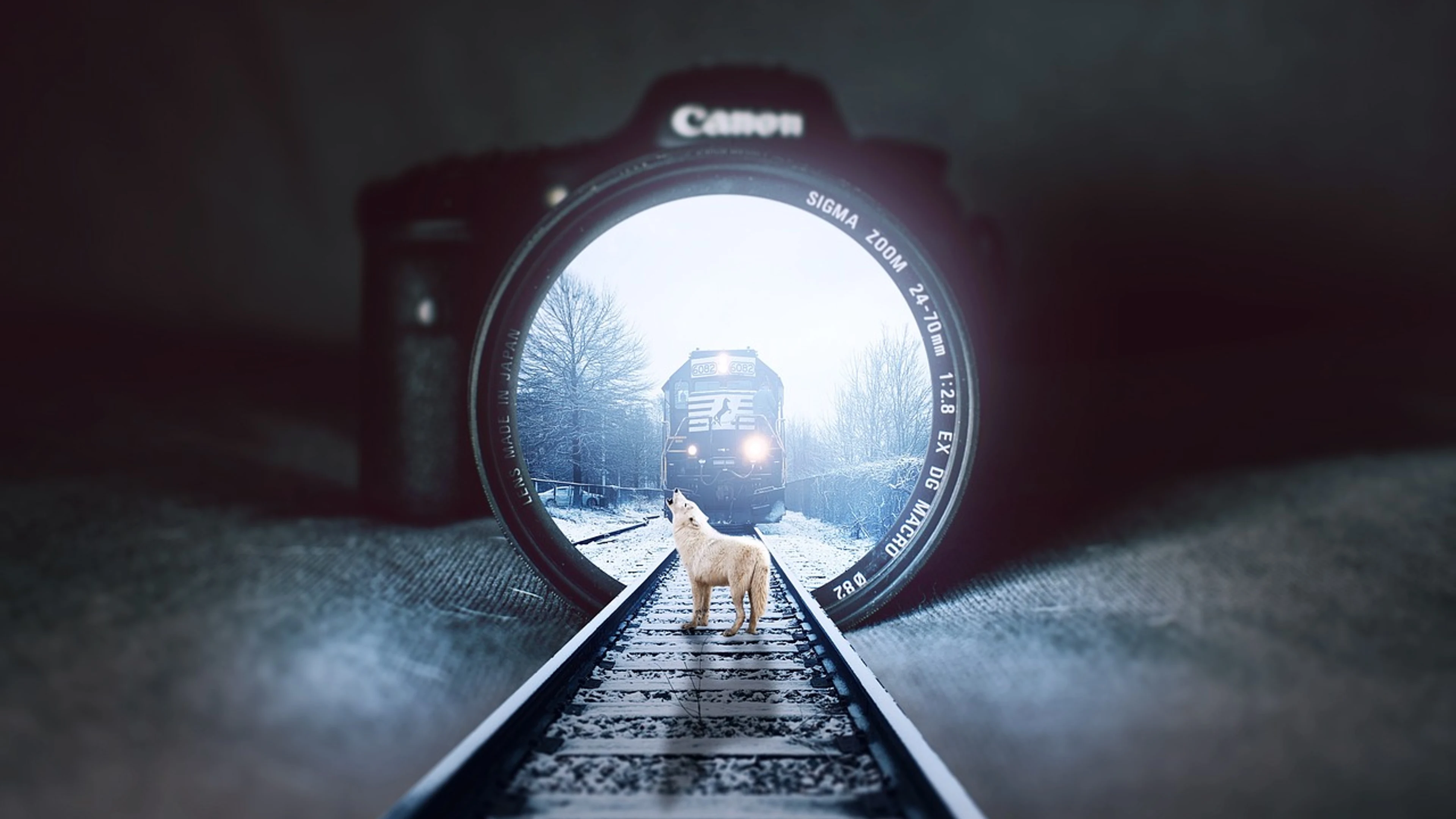 Camera wolf train - free 4K Ultra HD fantasy wallpaper for desktop