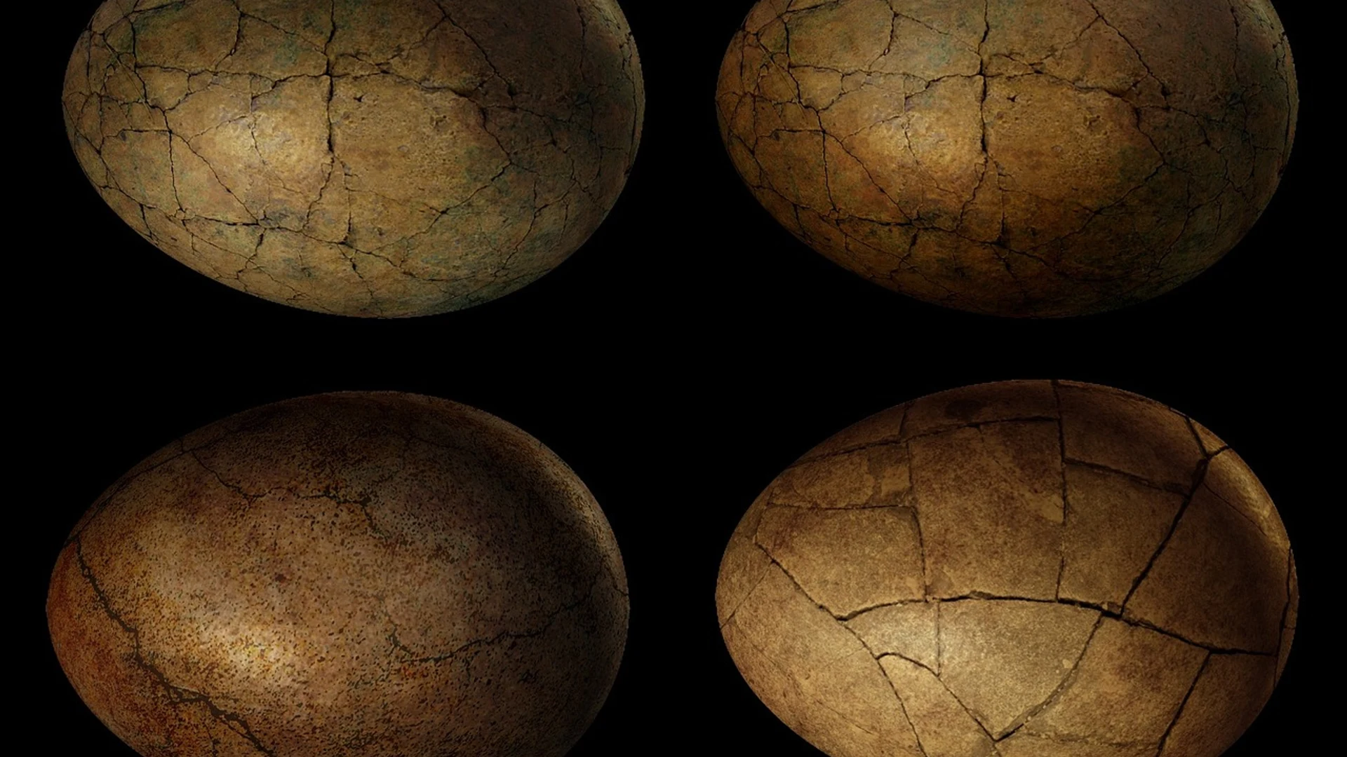 Egg eggs dinosaur - free hd fantasy wallpaper for desktop