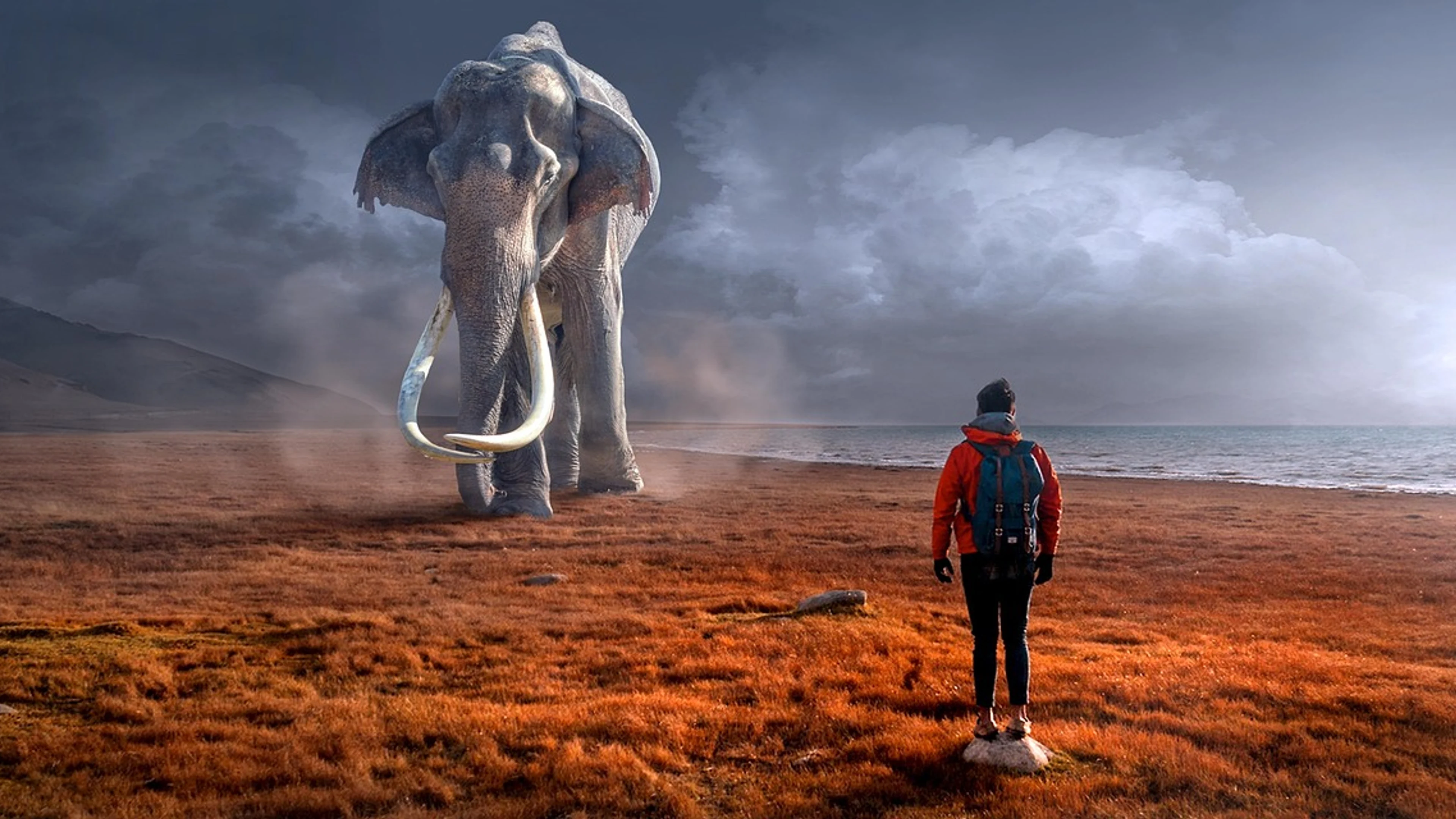 Fantasy elephant man - free 4K Ultra HD fantasy wallpaper for desktop