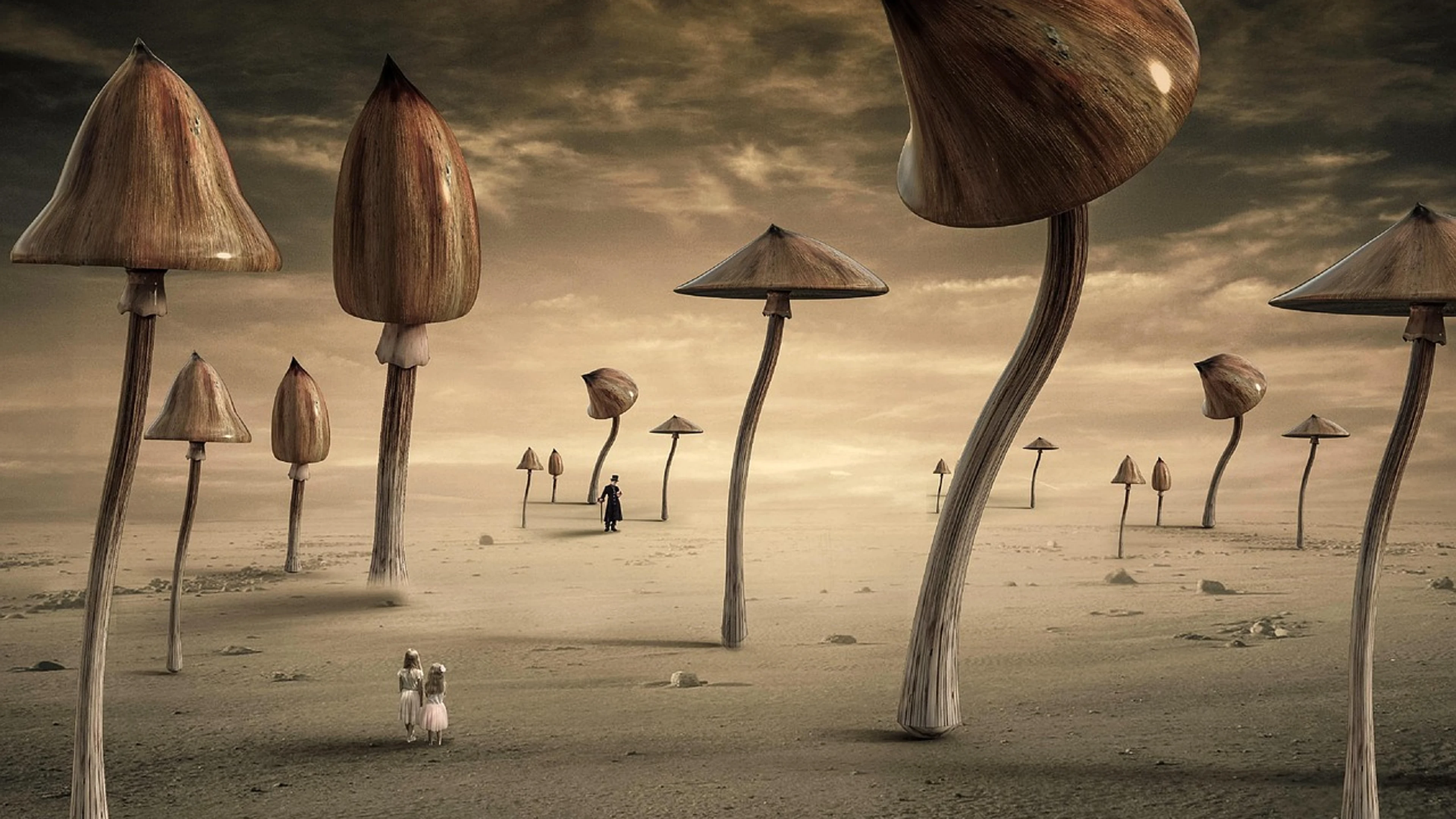 Fantasy mushrooms children - free 4K Ultra HD fantasy wallpaper for desktop