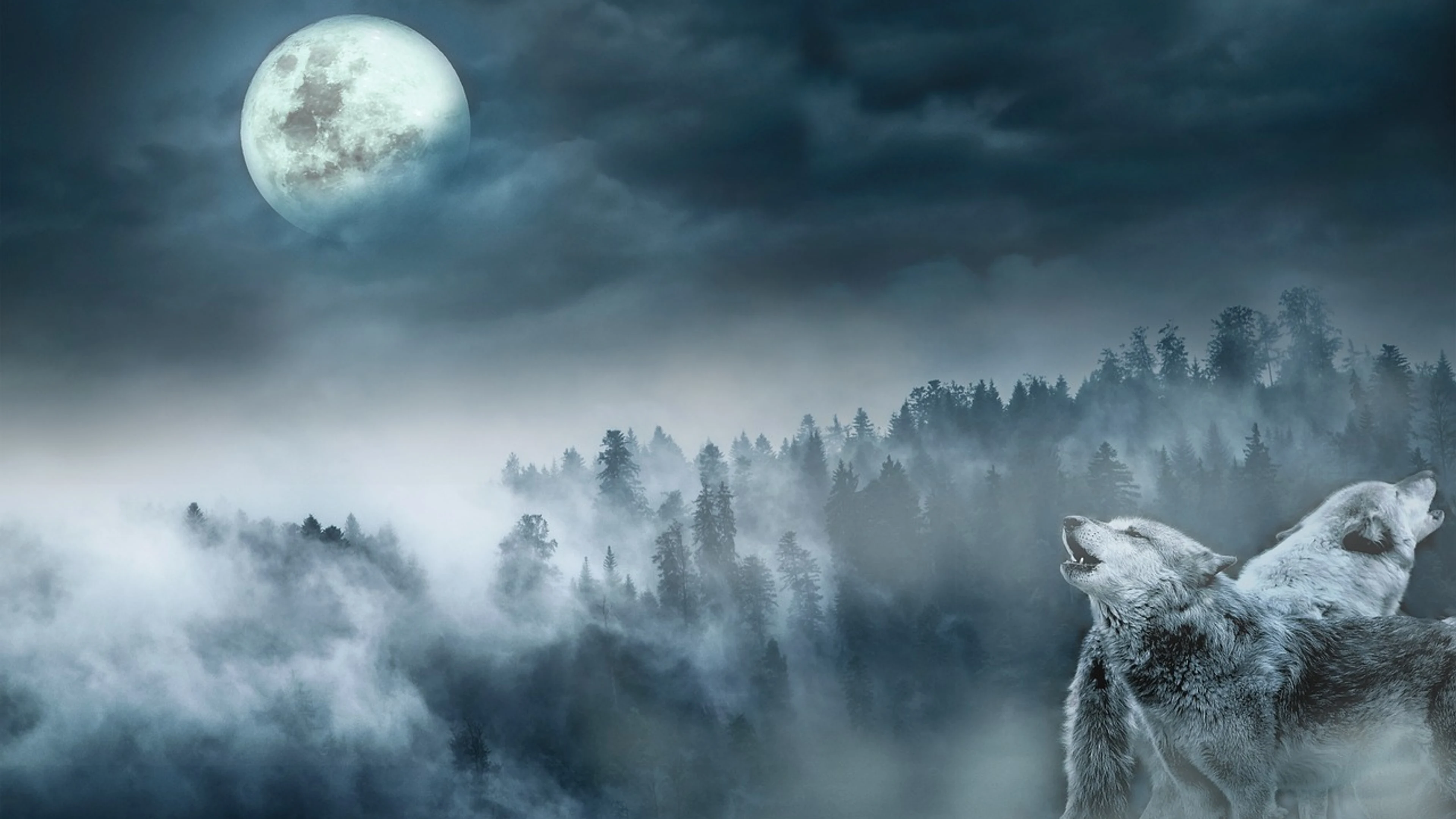 Landscape wolves forest - free 4K Ultra HD fantasy wallpaper for desktop