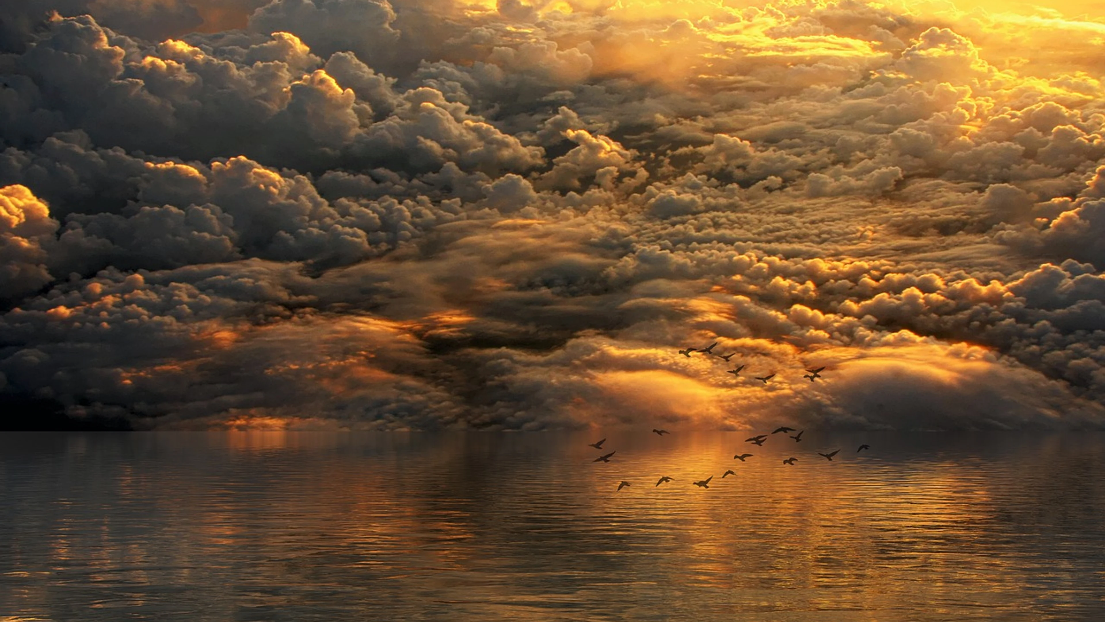 Sea ocean birds - free 4K Ultra HD fantasy wallpaper for desktop