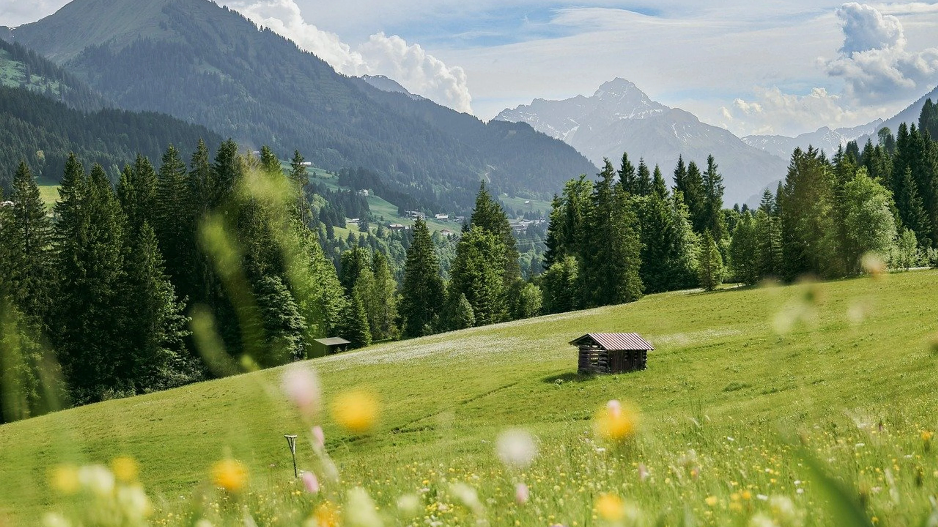 Alps mountains beautiful wallpaper - free 4K Ultra HD flowers wallpaper for desktop