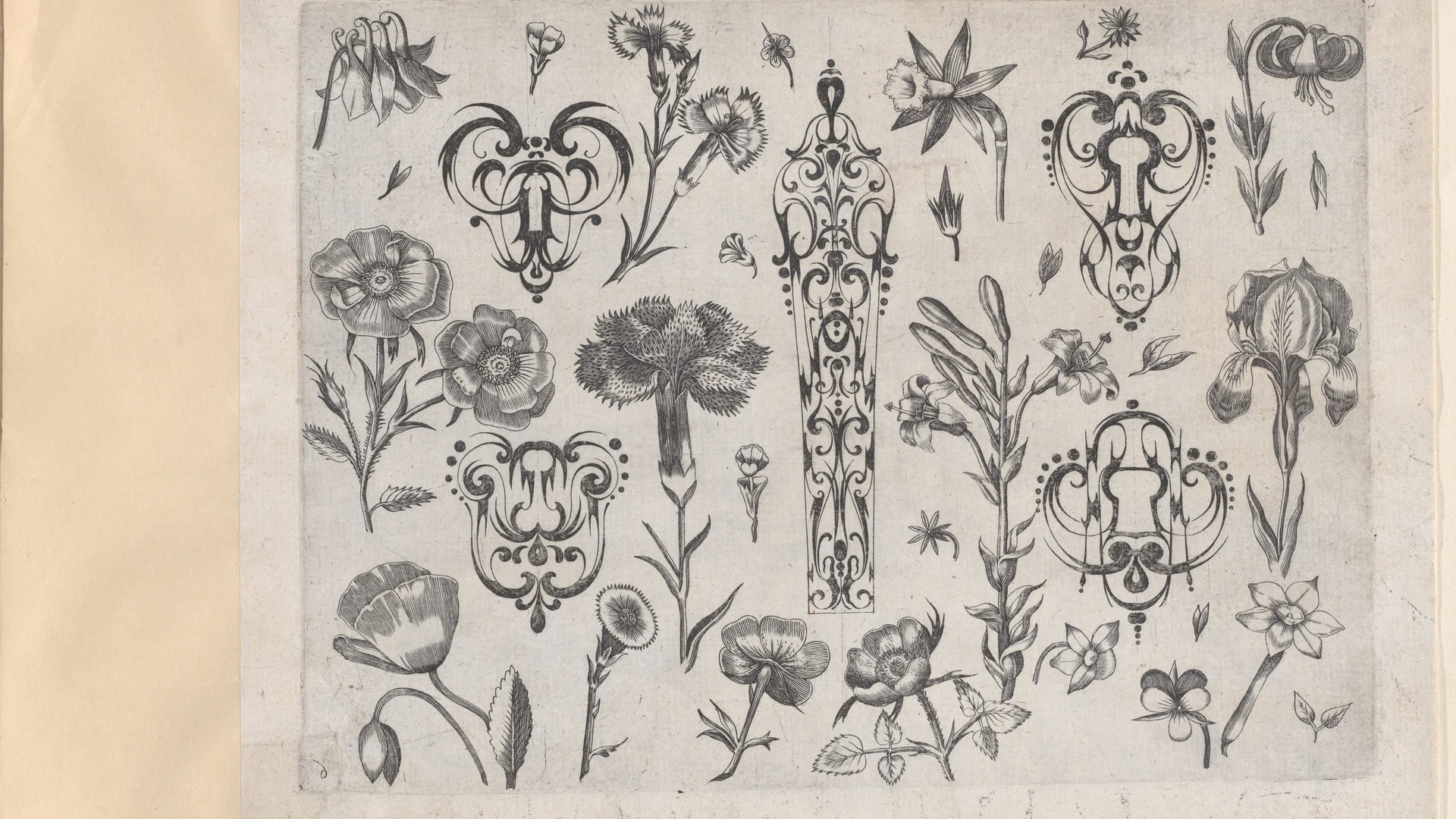 Blackwork Designs with Flowers, Plate 6 from a Series of Blackwork Ornaments com - free hd flowers wallpaper for desktop