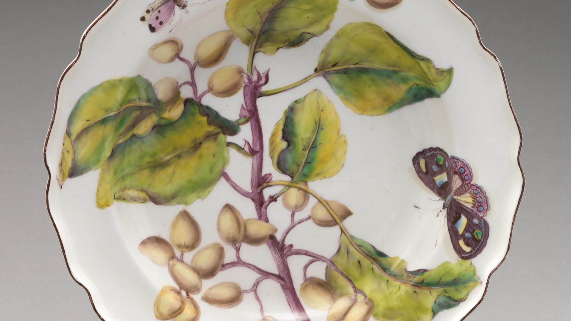 Botanical plate with fruiting branch - free hd flowers wallpaper for desktop