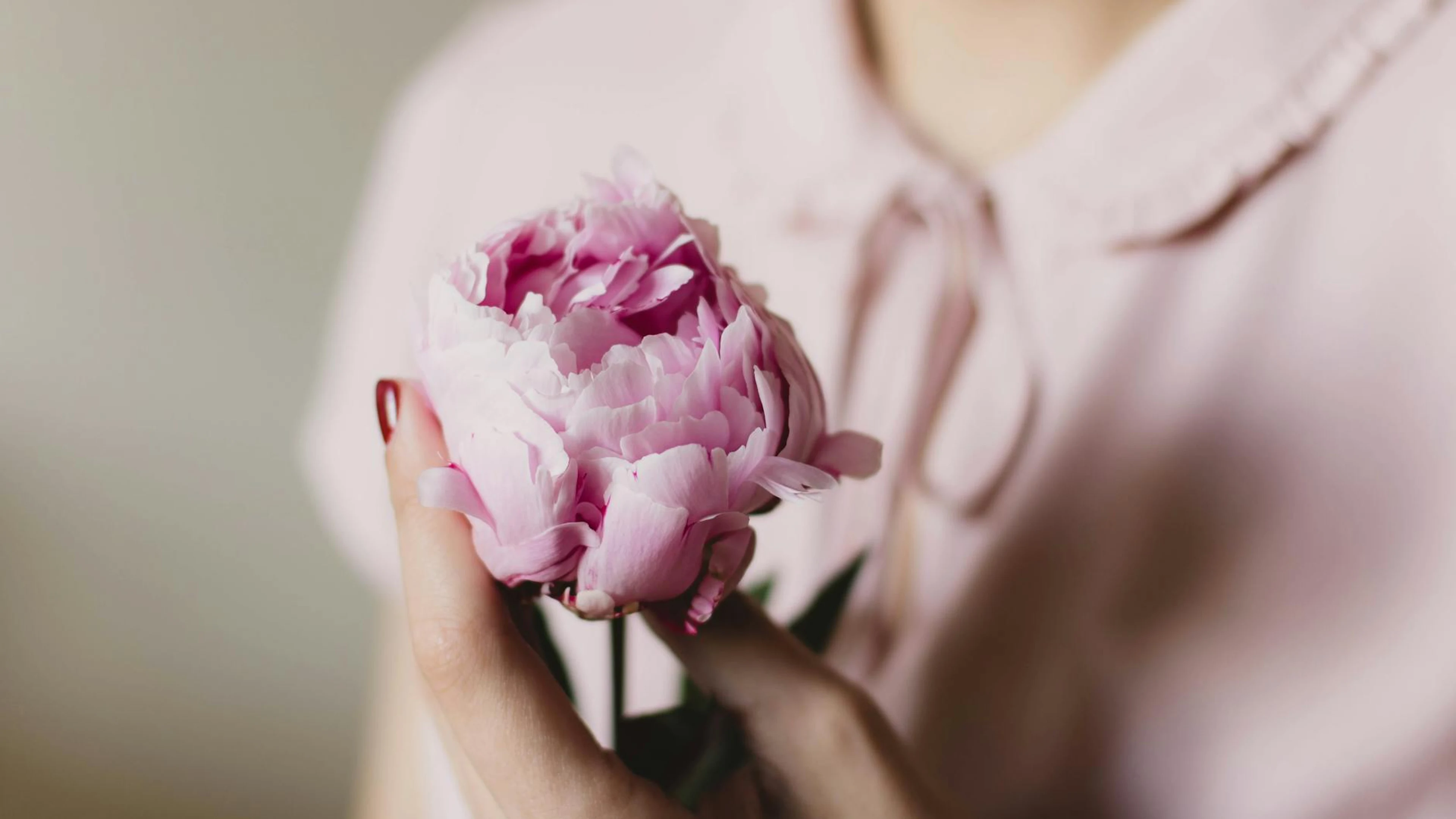 Close-up of a woman gently holding a pink peony flower, showcasing softness and - free 4K Ultra HD flowers wallpaper for desktop