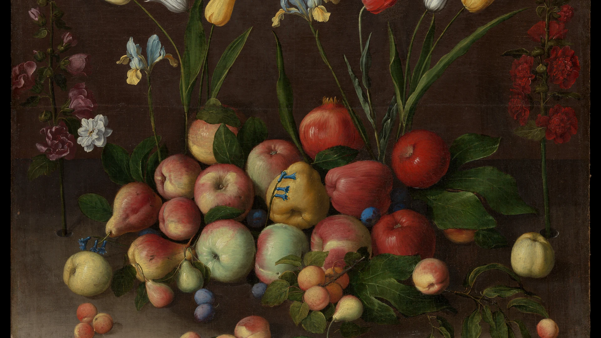 Fruit and Flowers - free hd flowers wallpaper for desktop