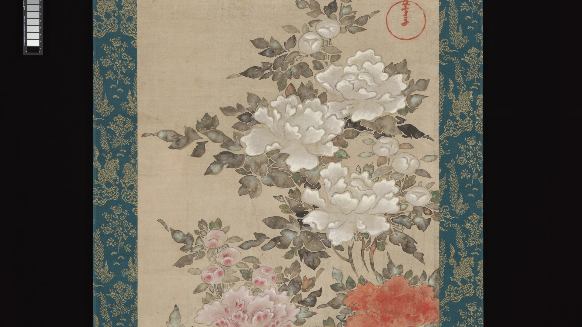 Peonies - free hd flowers wallpaper for desktop