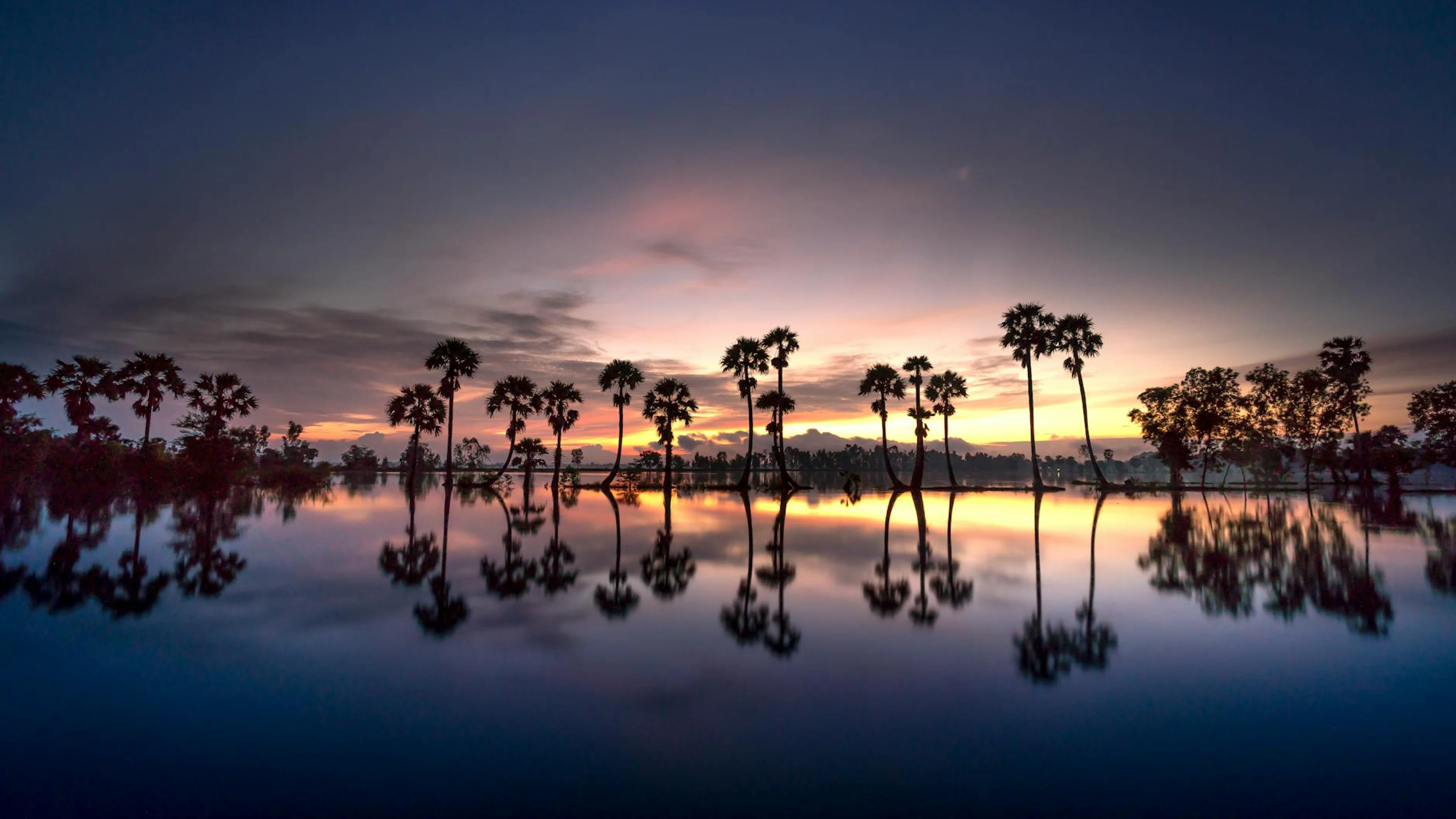 A breathtaking sunset with palm trees reflecting in a serene lake, capturing nat - free 4K Ultra HD lake wallpaper for desktop