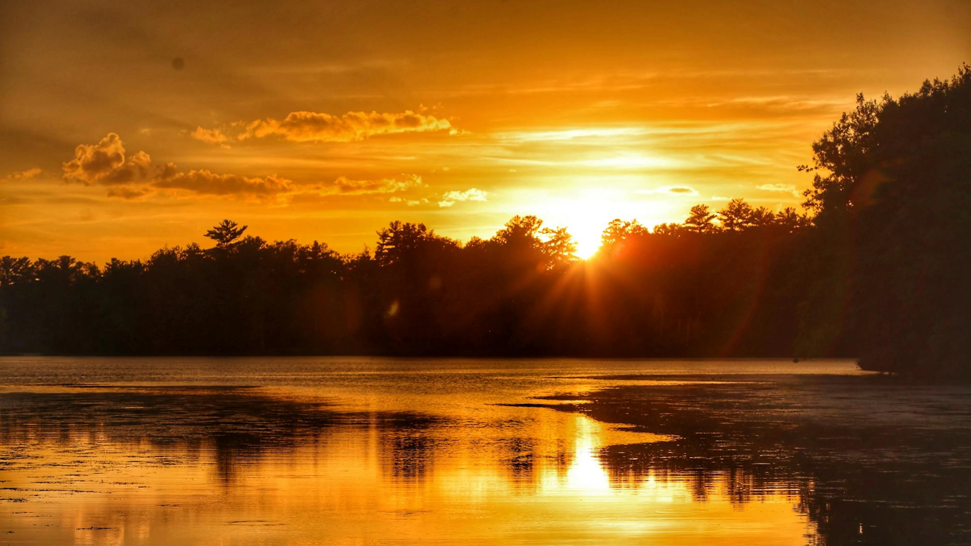 A mesmerizing sunset casts golden hues over a tranquil forest lake, reflecting s - free 4K Ultra HD lake wallpaper for desktop