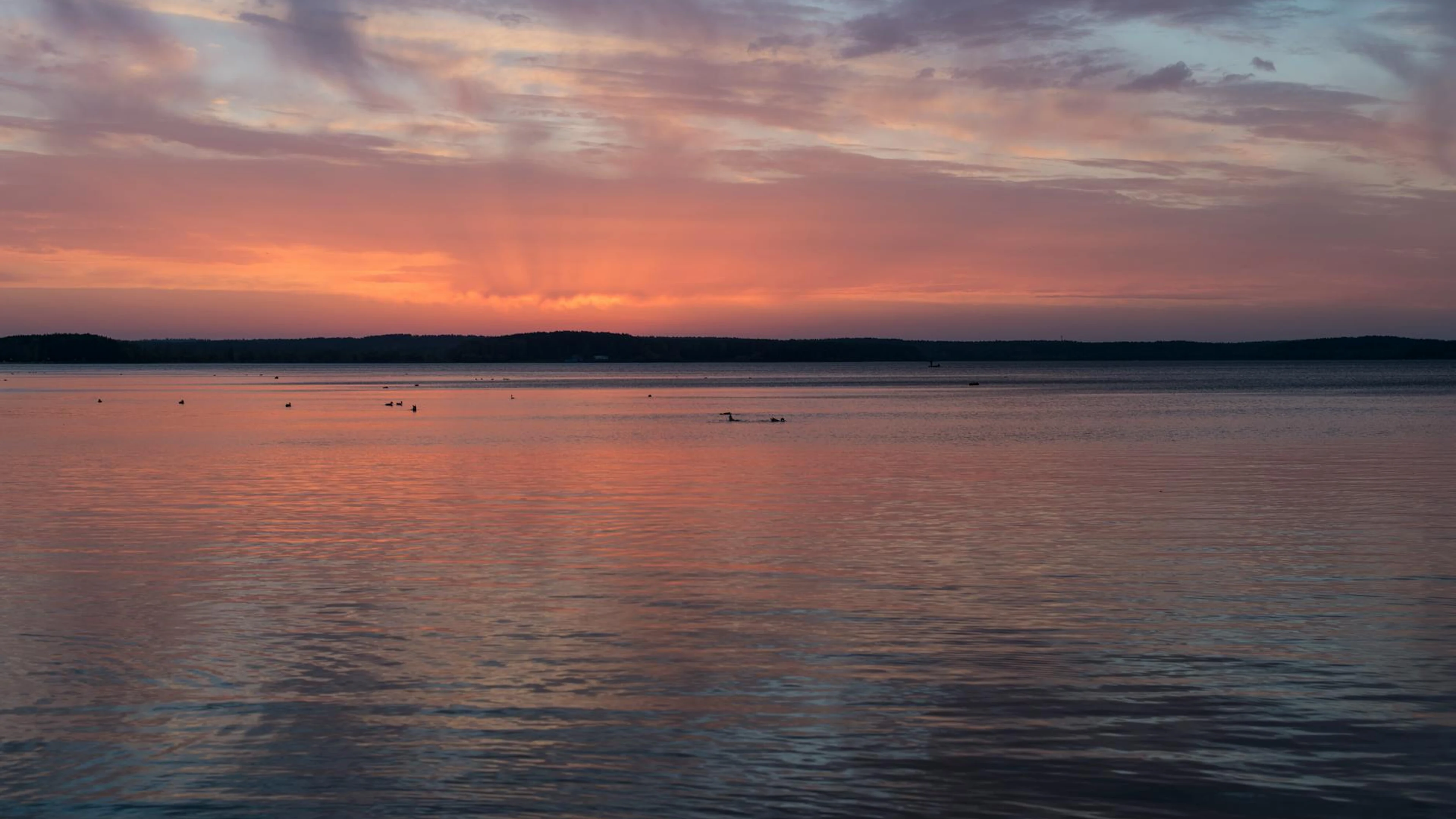 A stunning sunset with pink and purple hues reflecting on a tranquil lake in Min - free 4K Ultra HD lake wallpaper for desktop